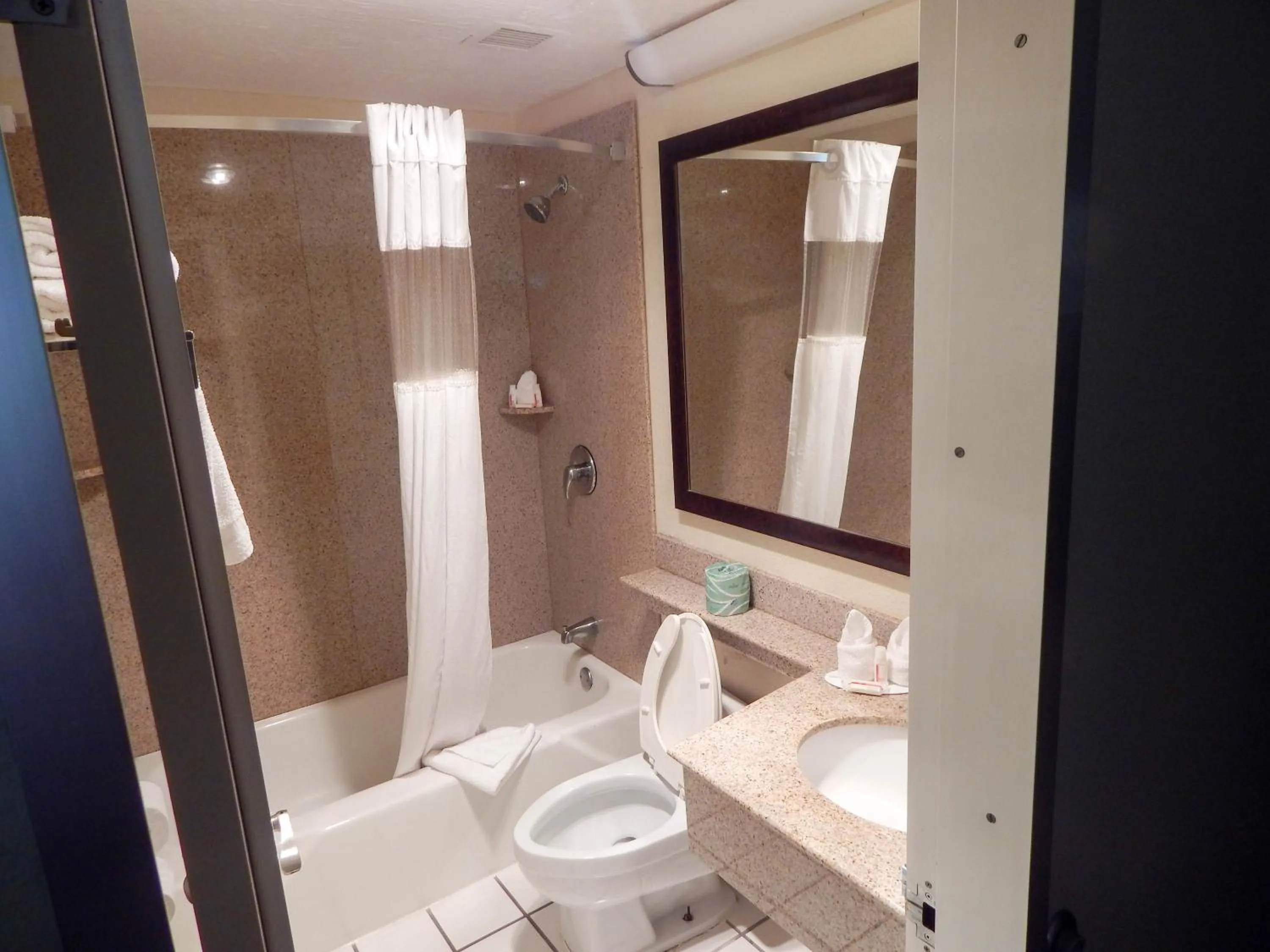 Bathroom in Howard Johnson by Wyndham Arlington Ballpark / Six Flags