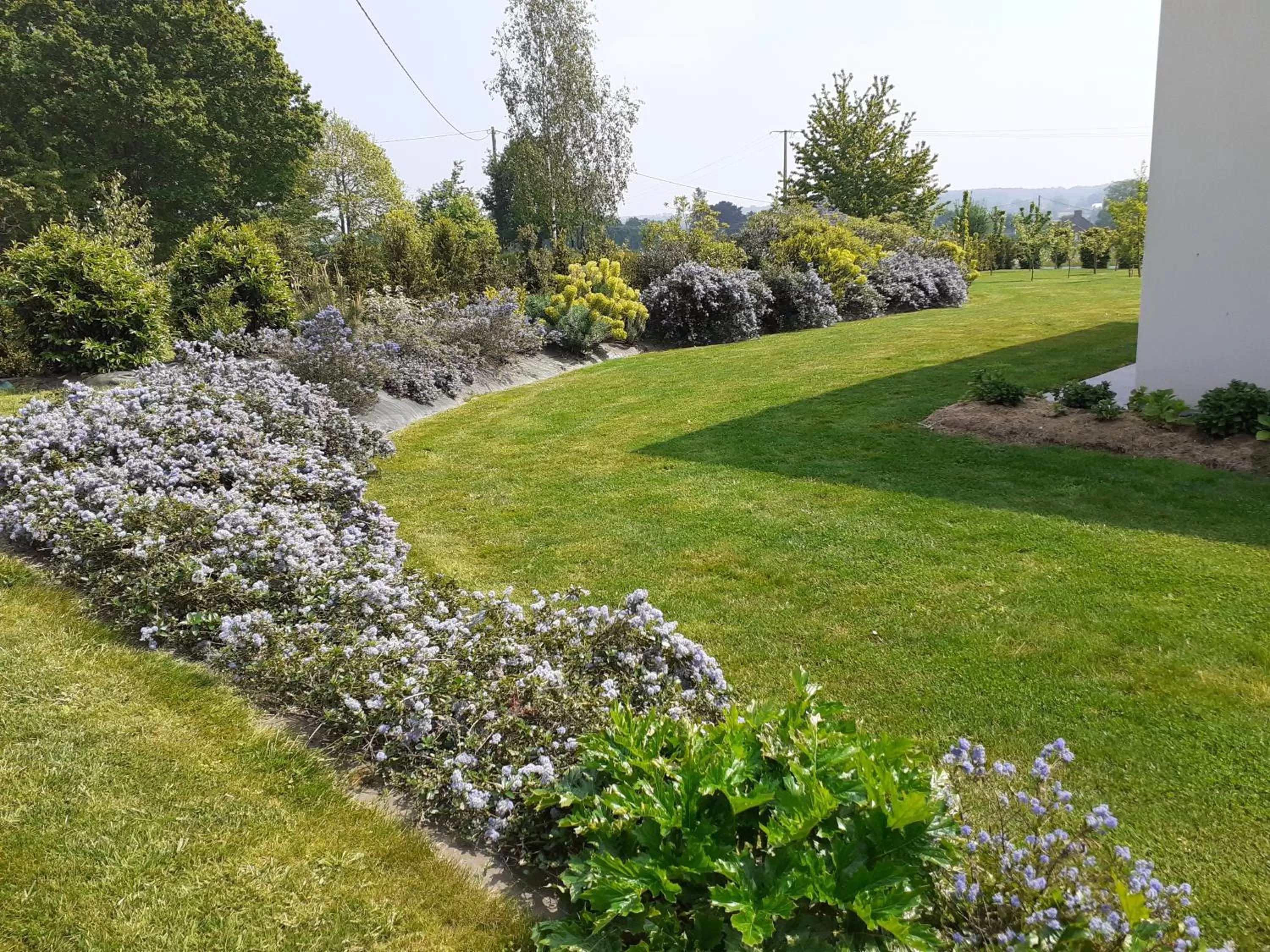 Garden in Chambre d'hôtes Les Bruyères