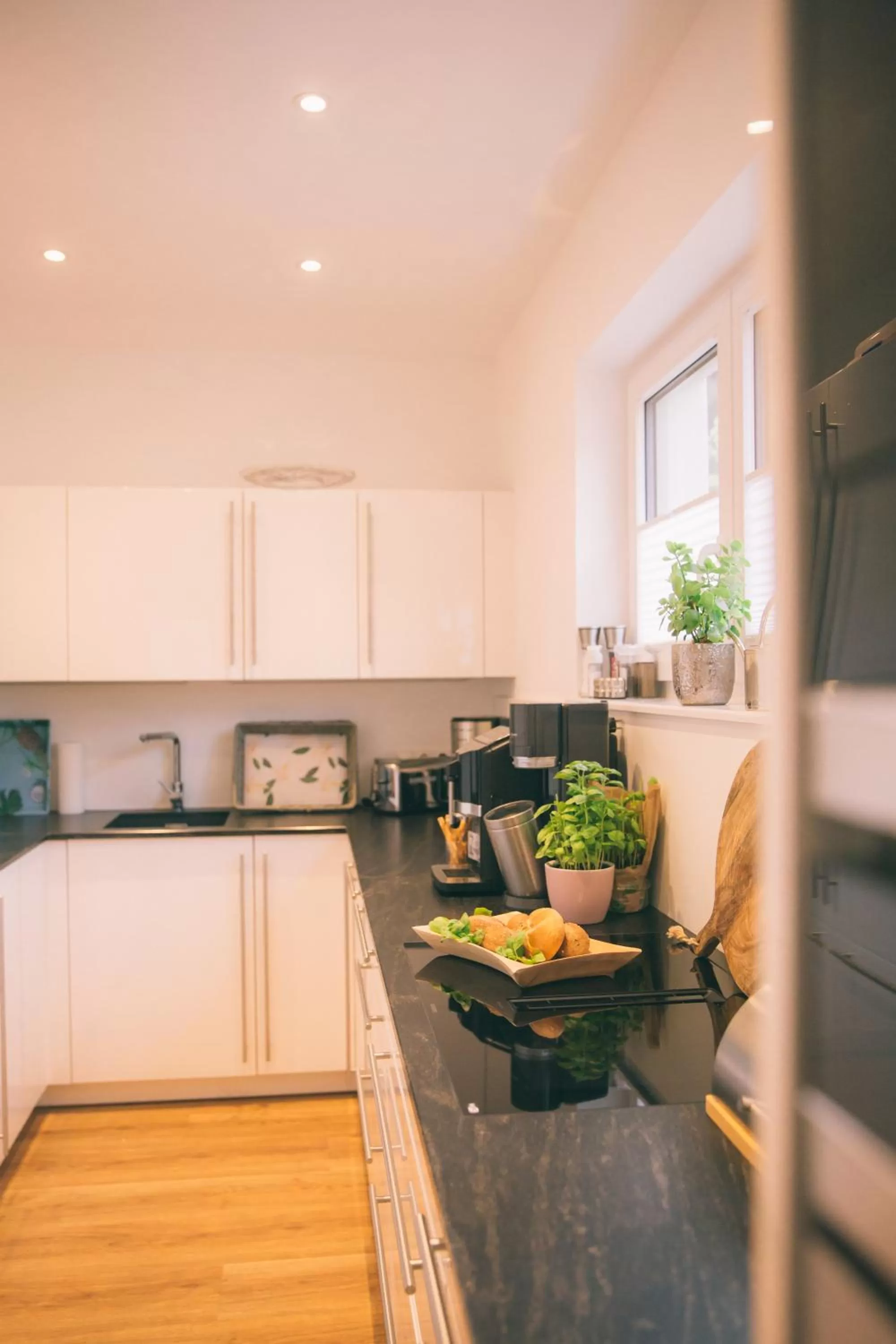 Communal kitchen, Kitchen/Kitchenette in Nefer, Haus