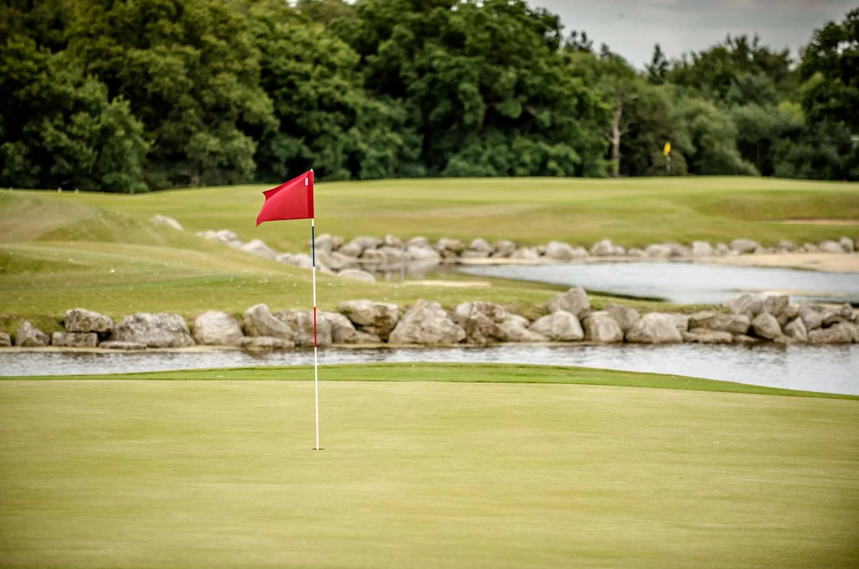 Golfcourse in Hilton Southampton - Utilita Bowl