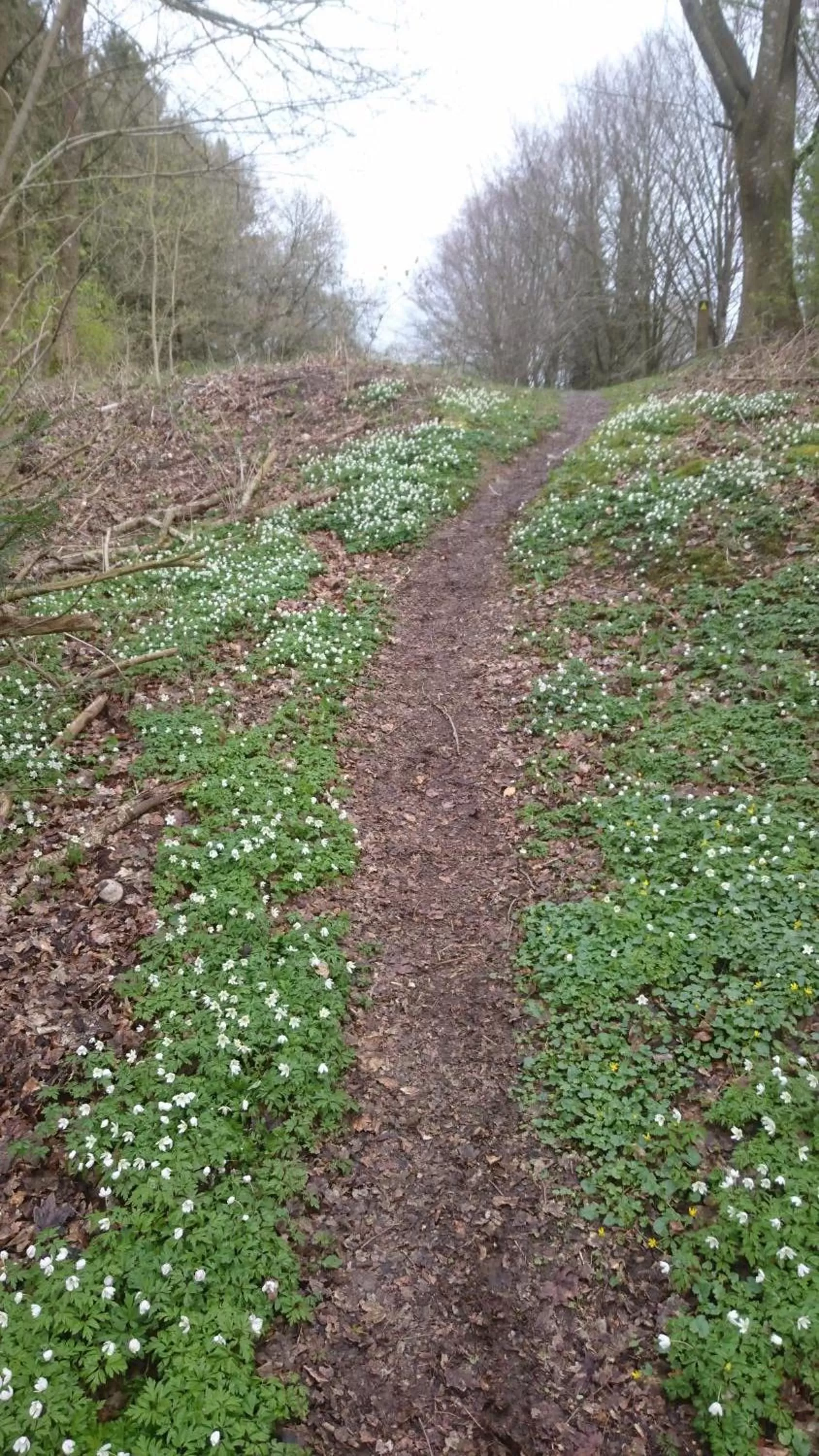 Nearby landmark in Egtved Hotel