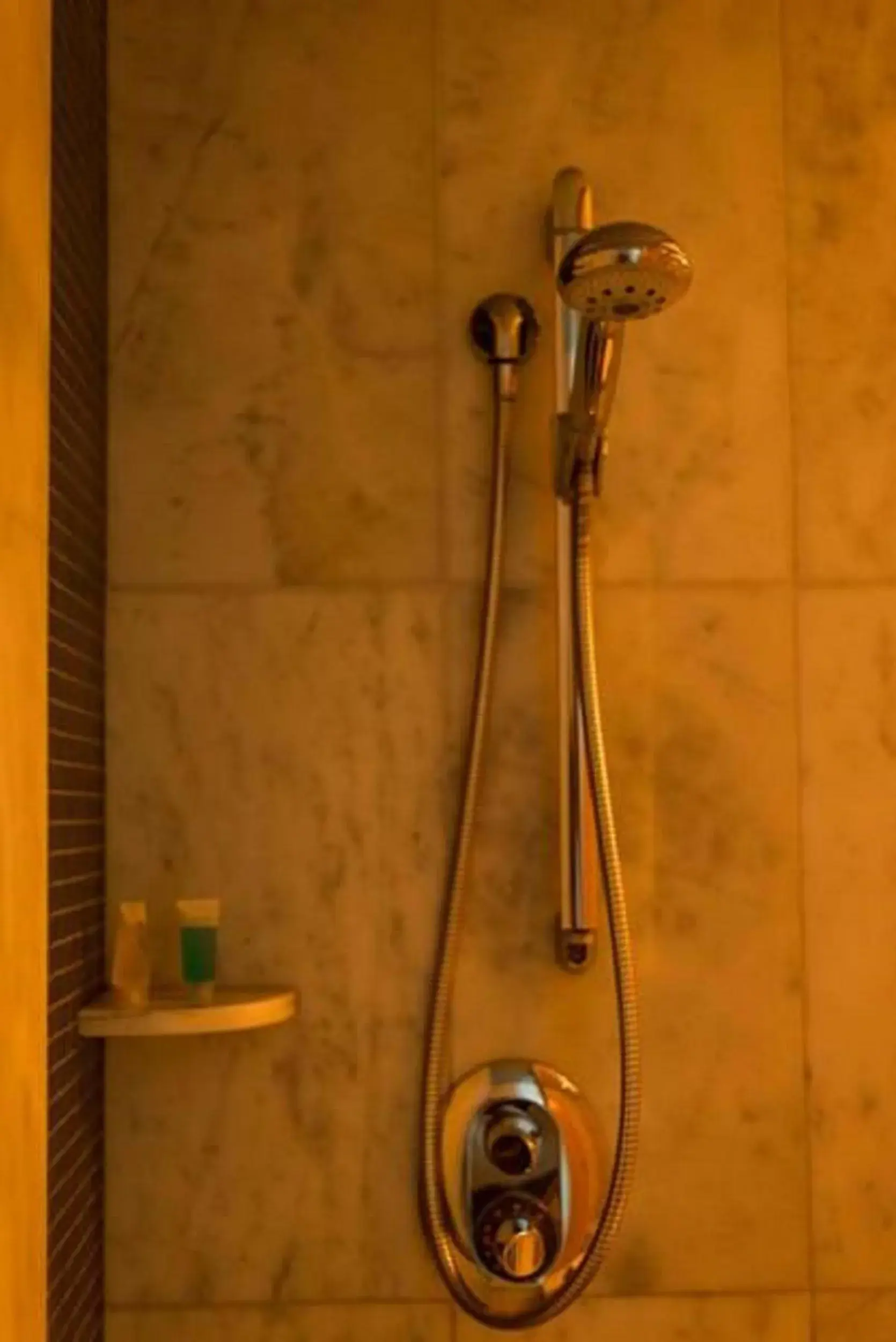 Bed in Executive Sport Bed in Executive Sport