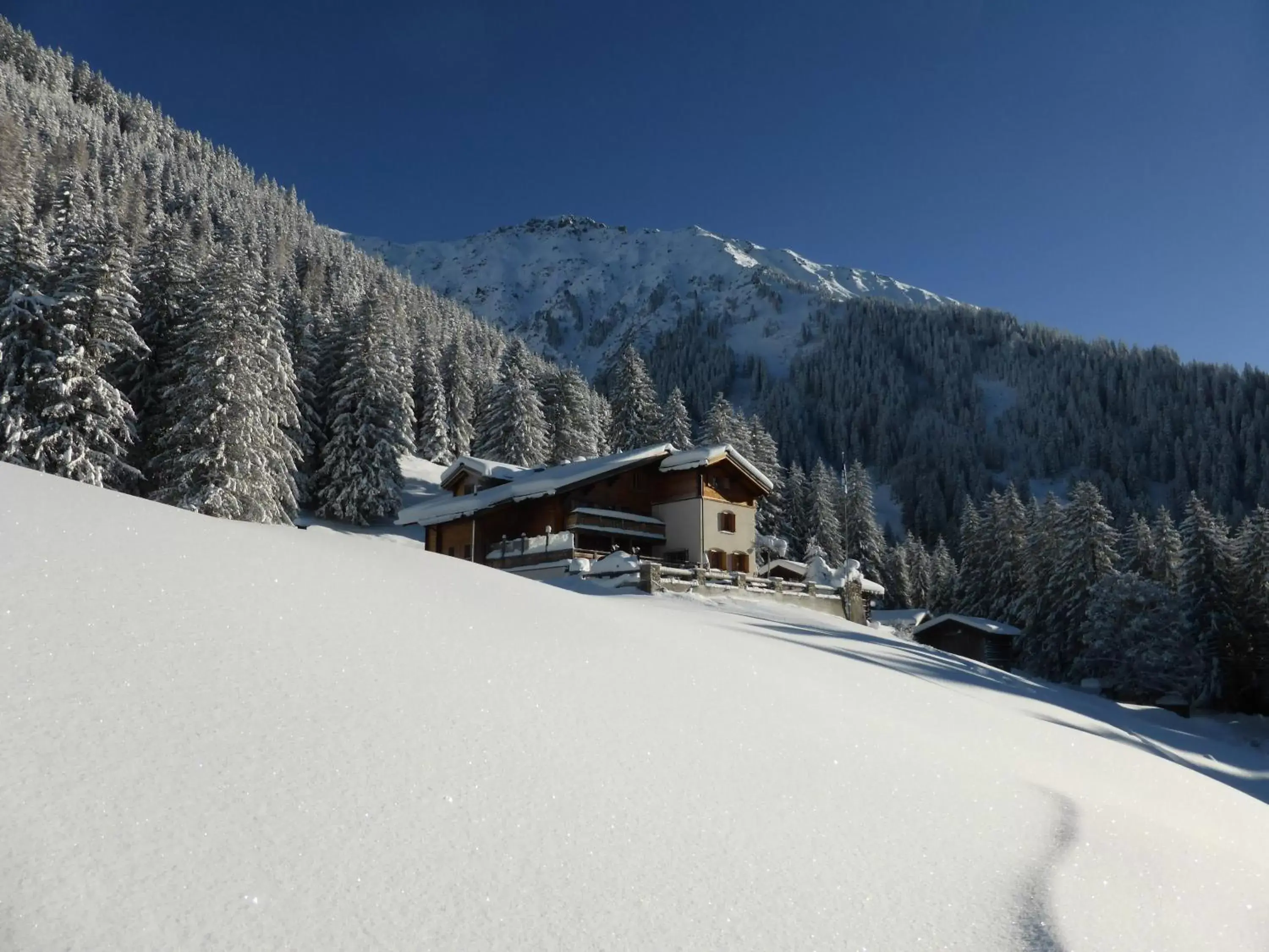 Day, Winter in Berghaus Alpenrösli