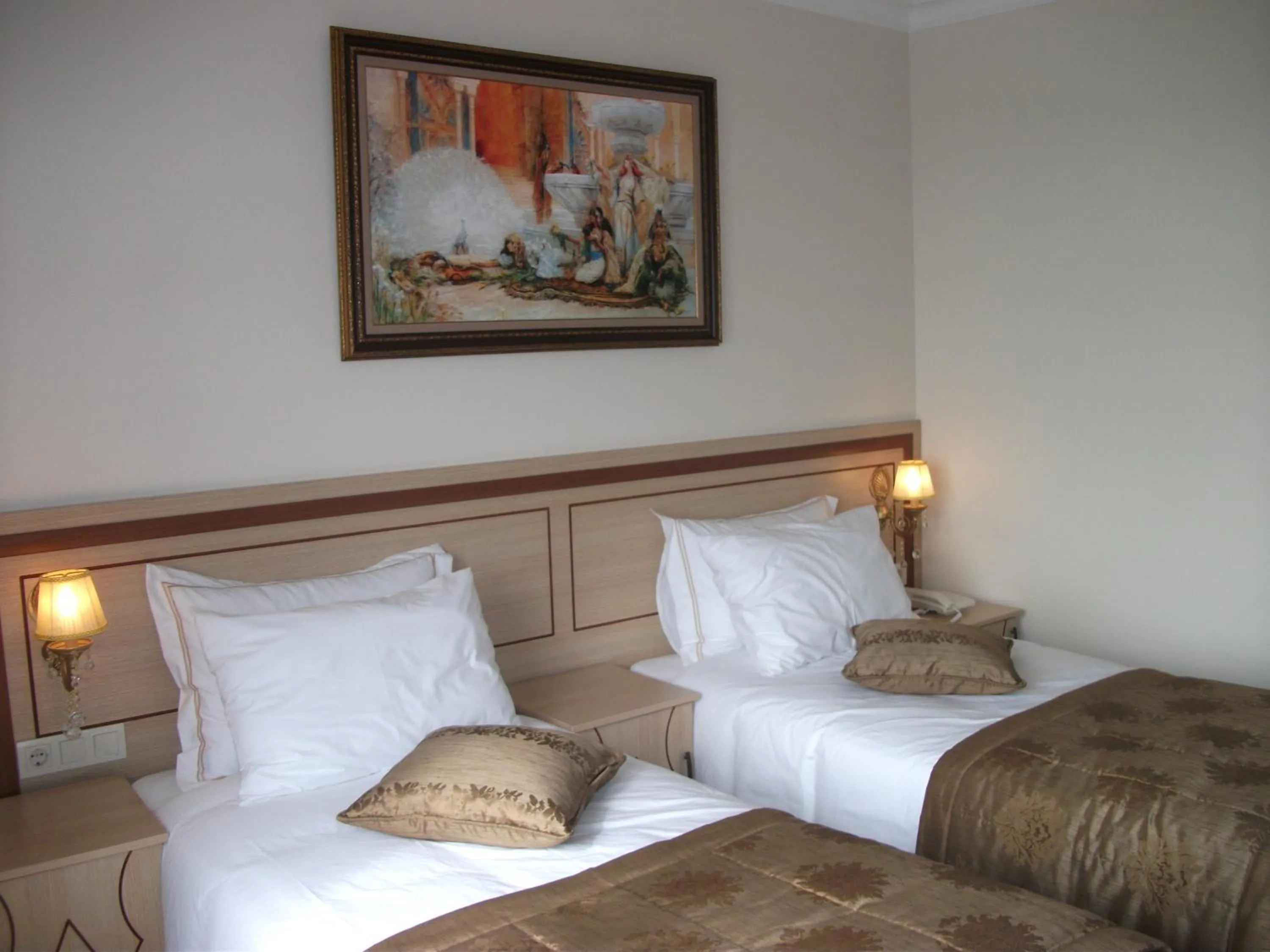 Double or Twin Room in Sultan Palace Hotel