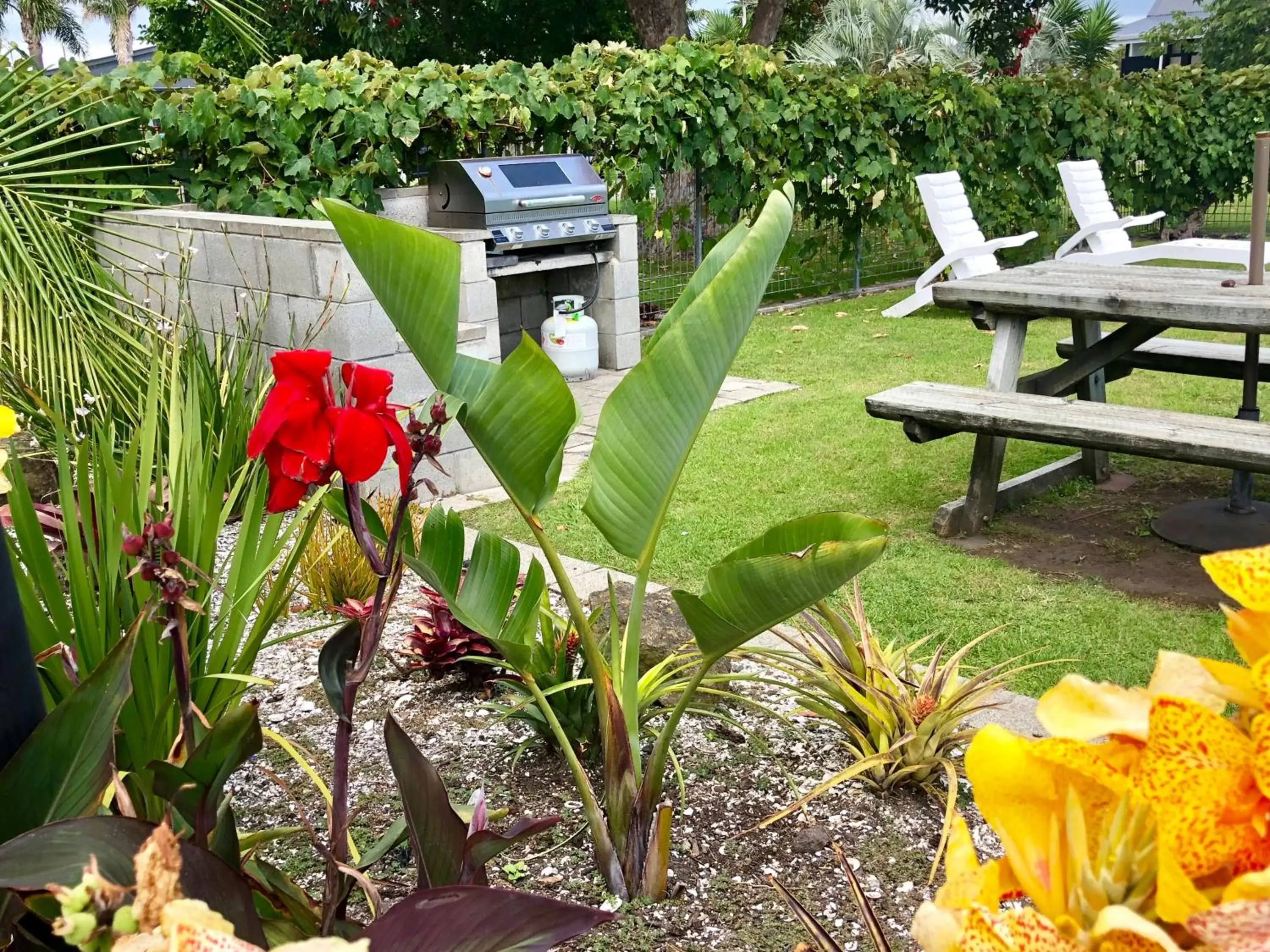 BBQ facilities, Garden in Teal Motor Lodge