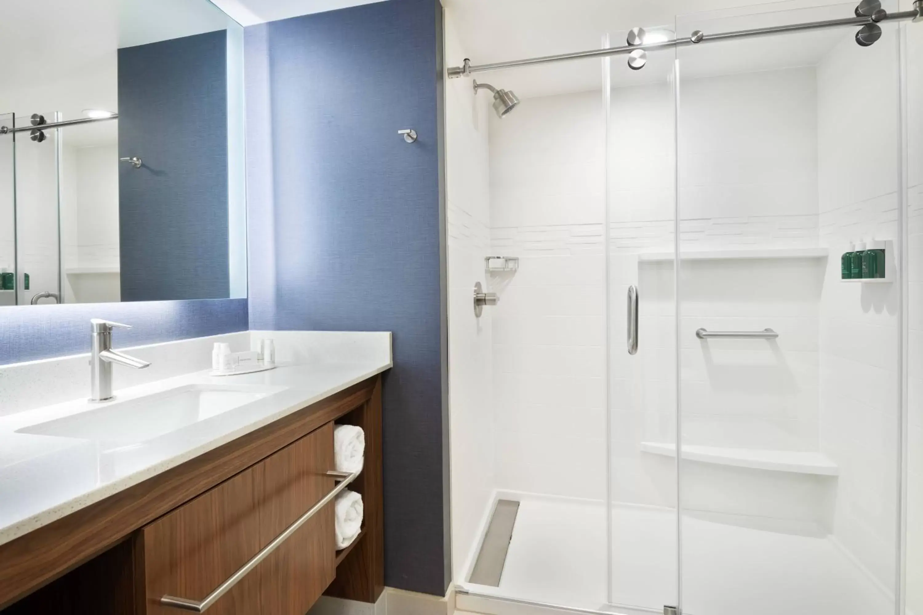 Bathroom in Residence Inn by Marriott Tampa Wesley Chapel
