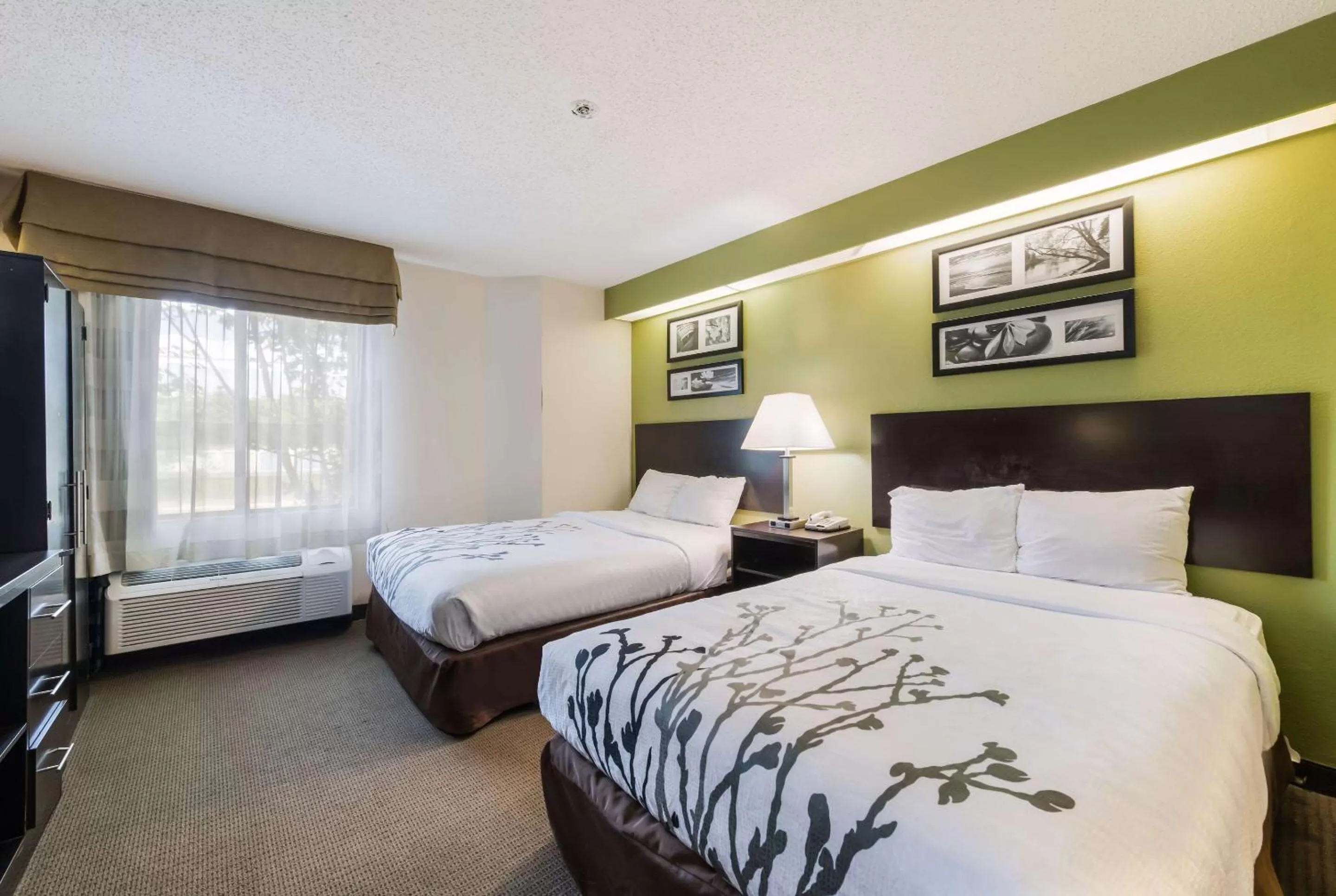 Photo of the whole room, Bed in Rodeway Inn