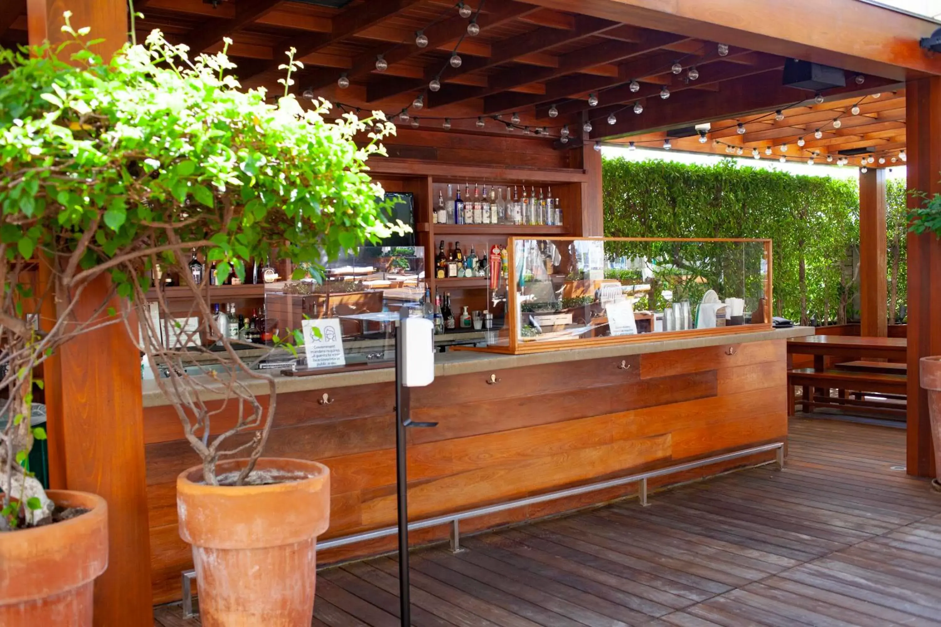 Lounge or bar in Hilton Vacation Club The Modern Honolulu