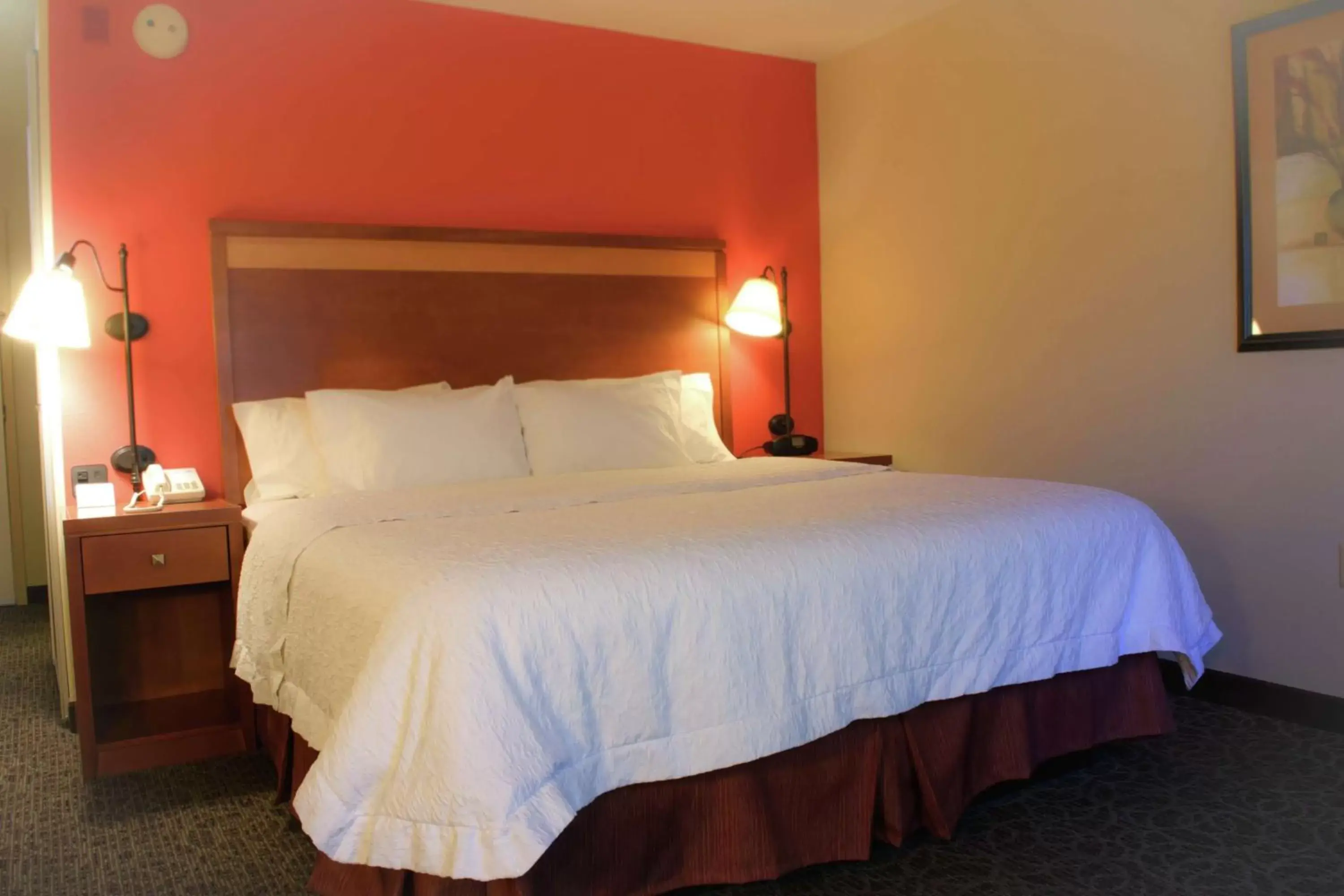 Bed in Hampton Inn Montgomery-South-Airport