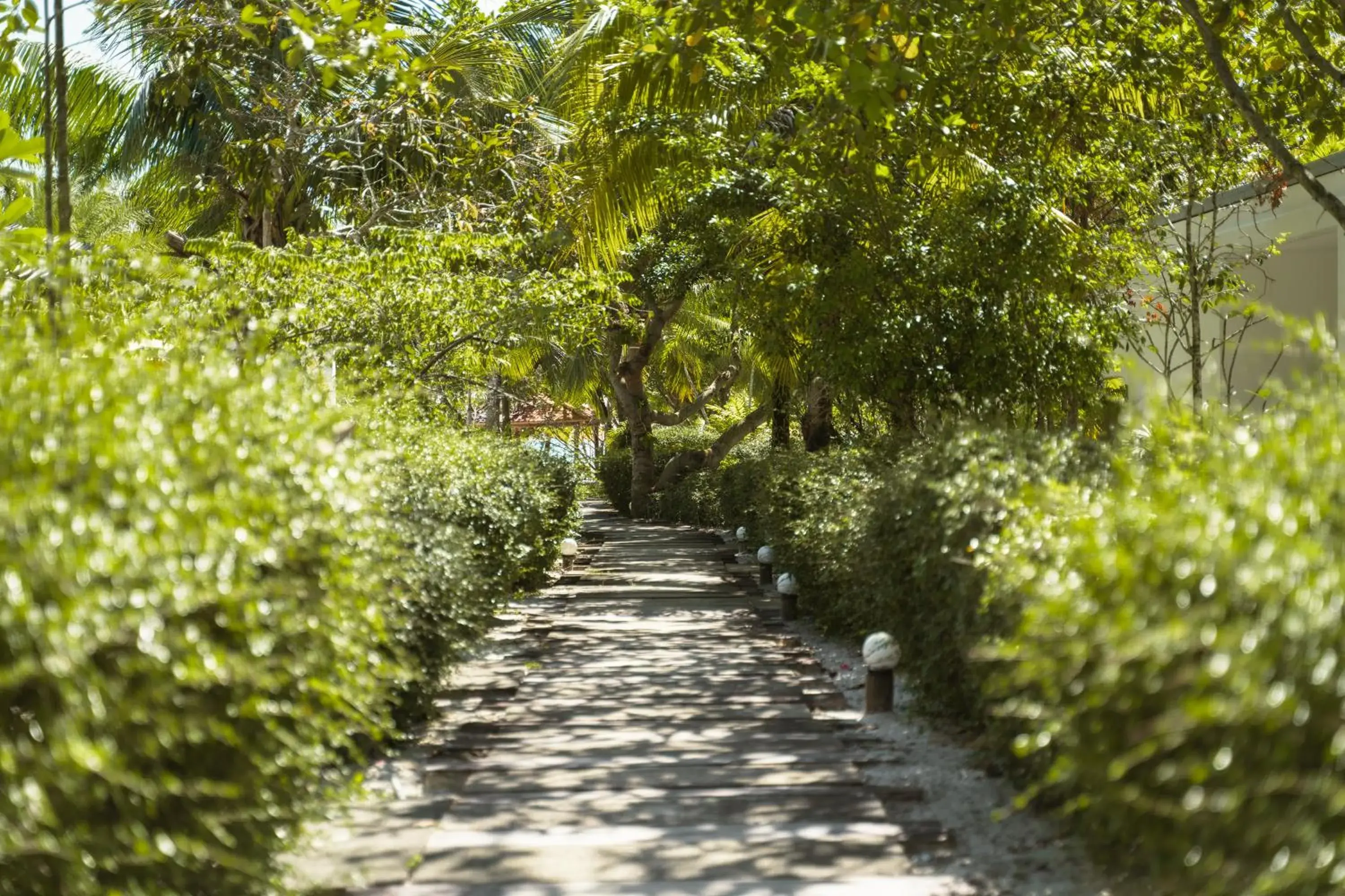 Garden in Long Set Resort