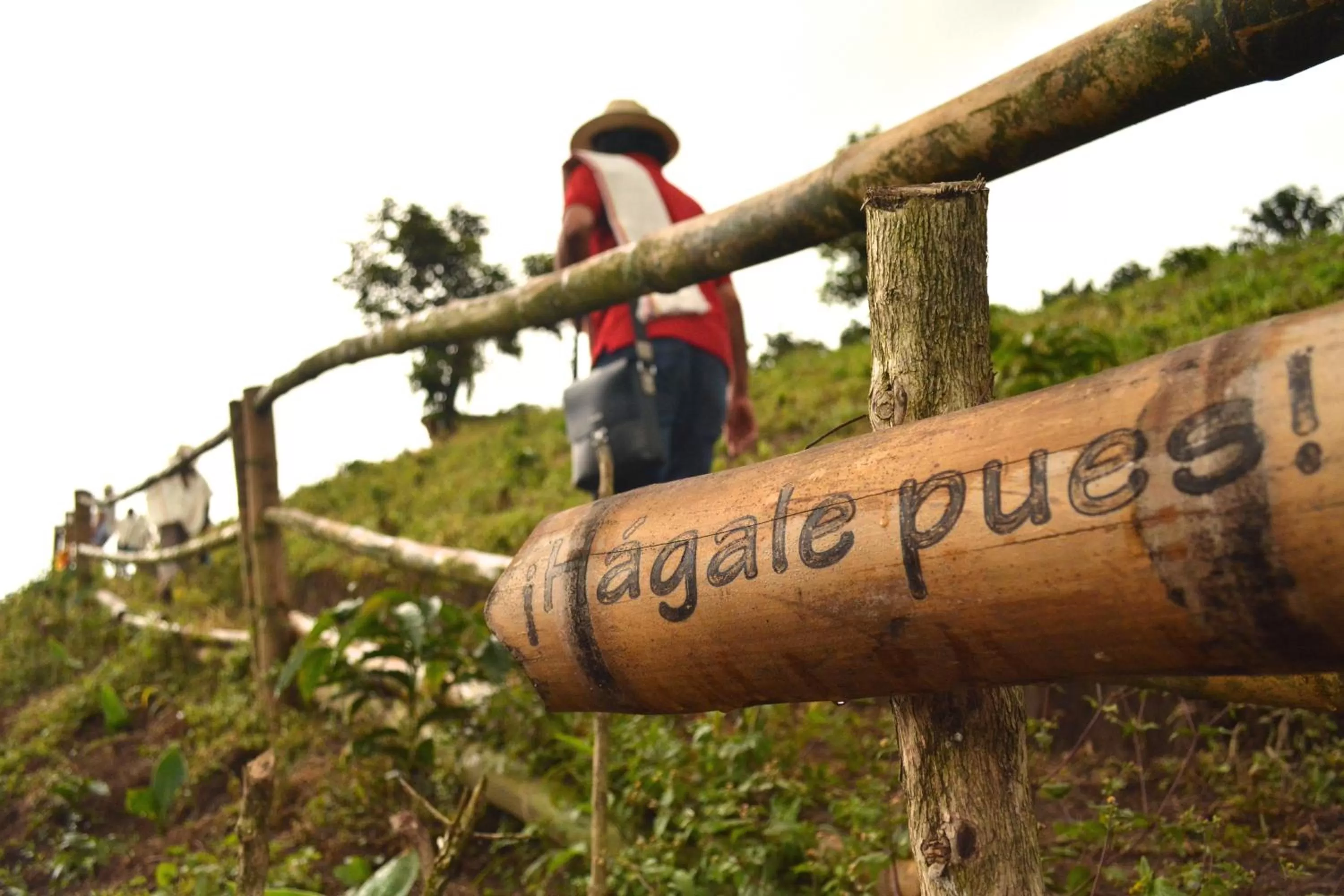 Activities in Finca del Café - Casa Typica