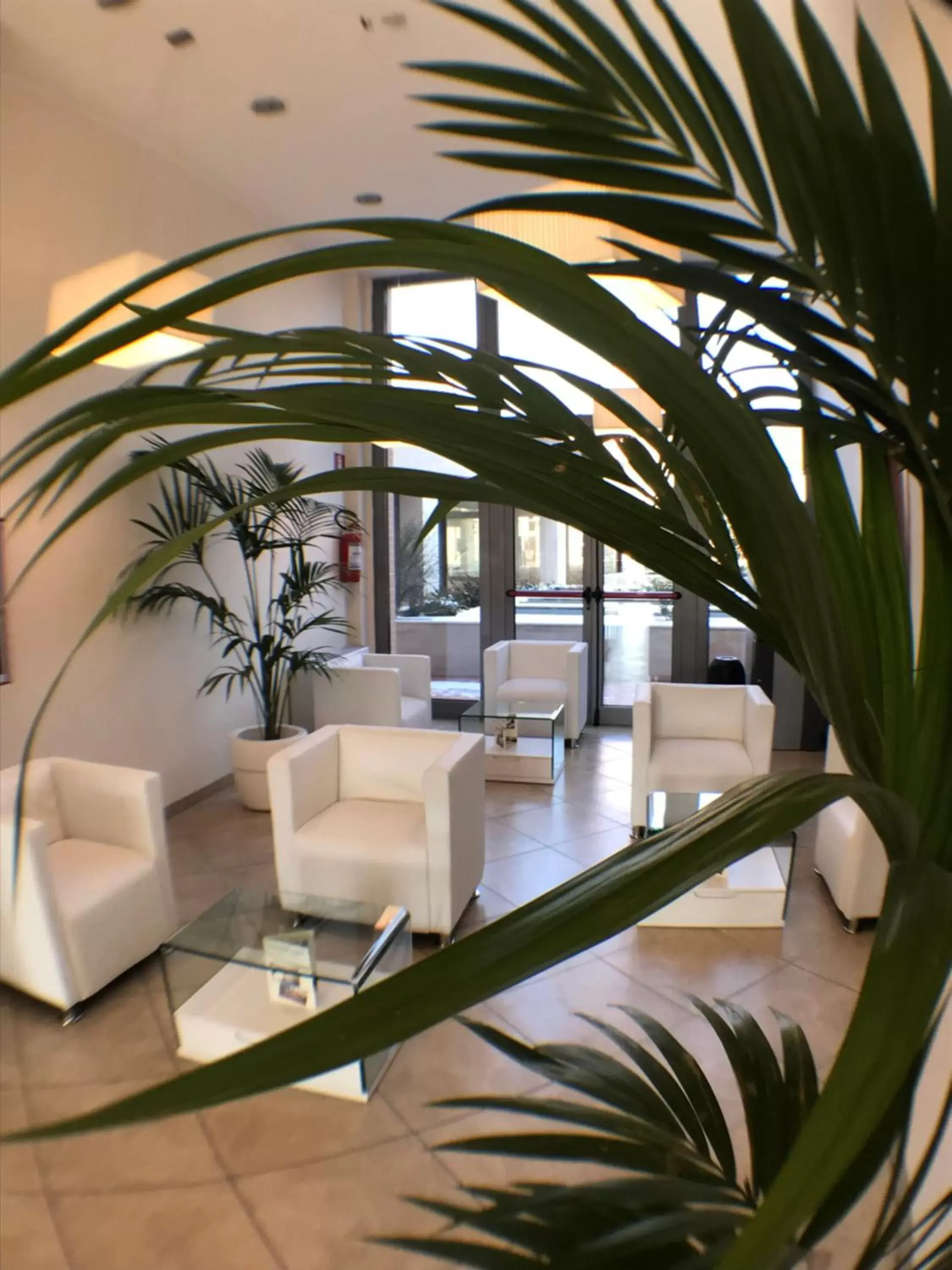 Lobby or reception in ApartHotel Anghel Lobby or reception in ApartHotel Anghel