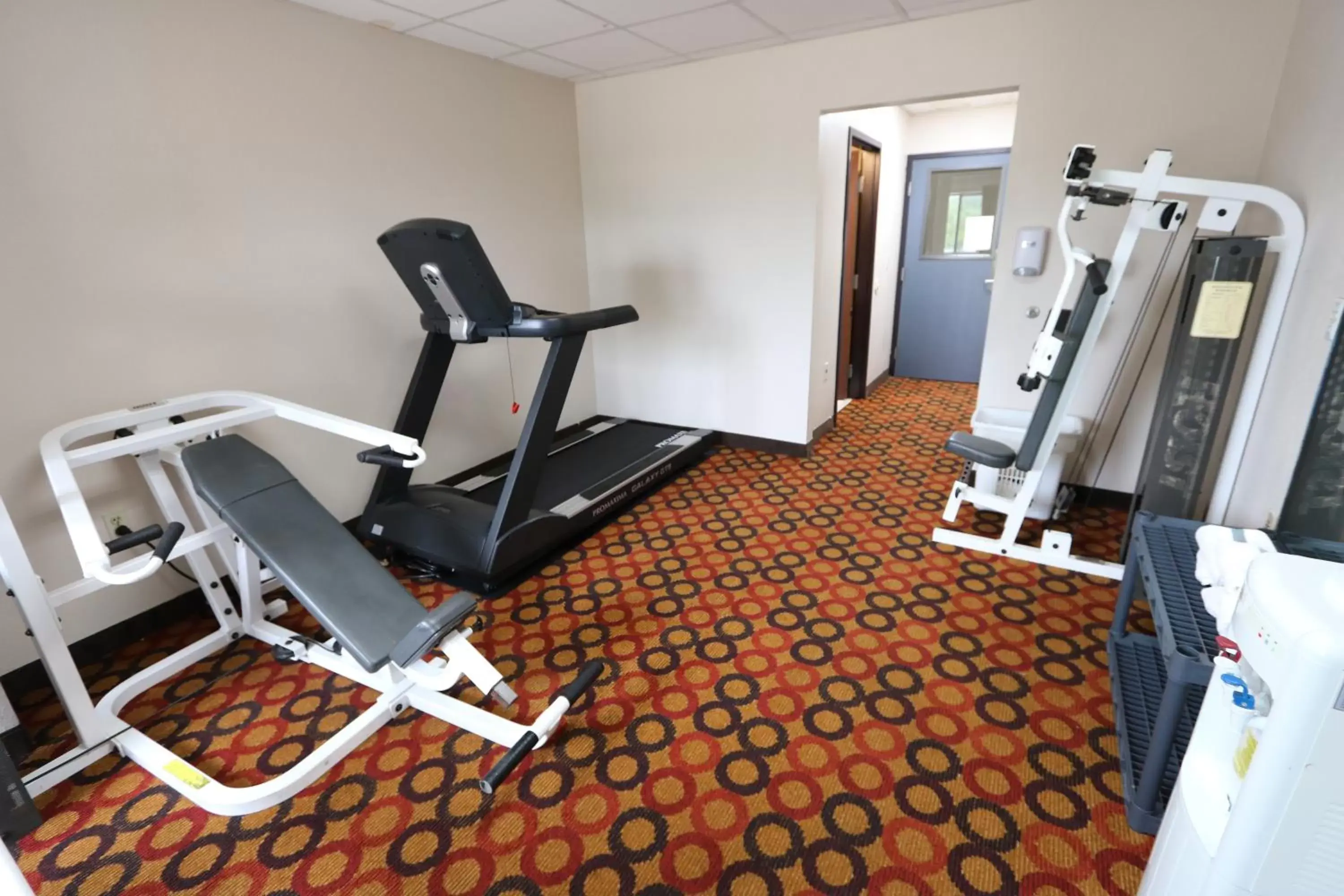 Fitness centre/facilities, Fitness Center/Facilities in Ramada by Wyndham Bolingbrook Fitness centre/facilities, Fitness Center/Facilities in Ramada by Wyndham Bolingbrook