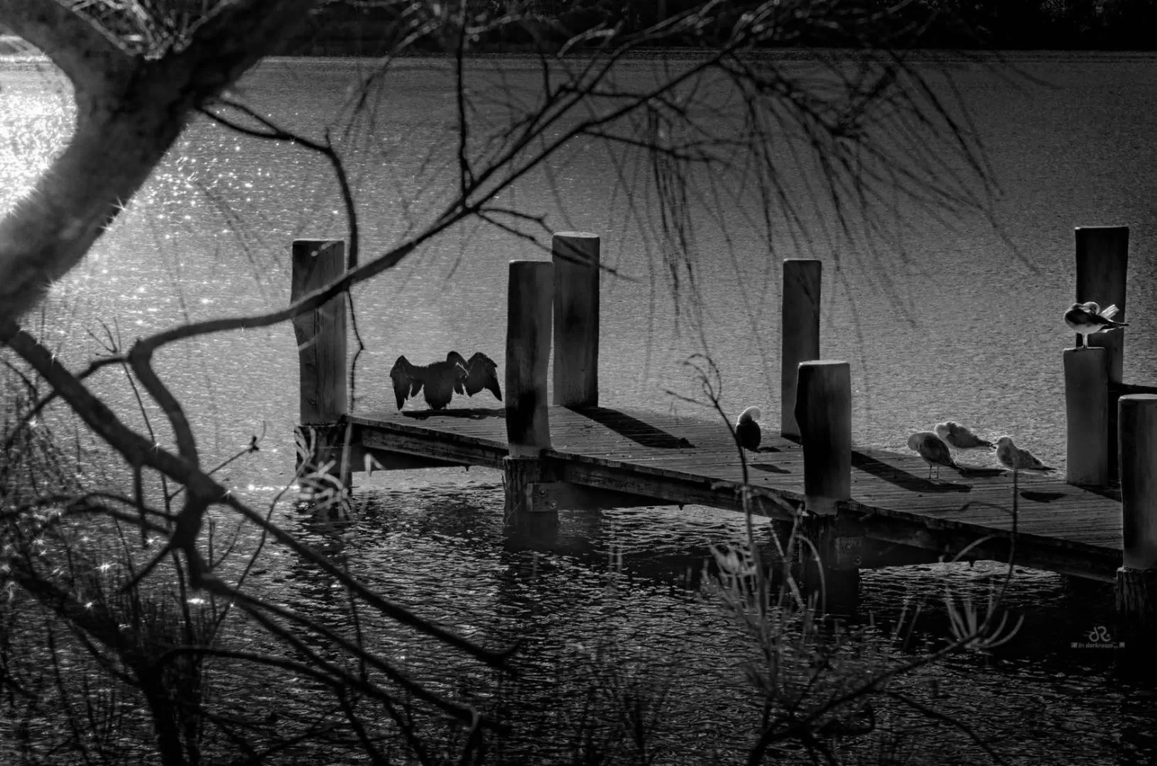 Peace Resorts - Jervis Bay Holiday Cabins in Sussex Inlet