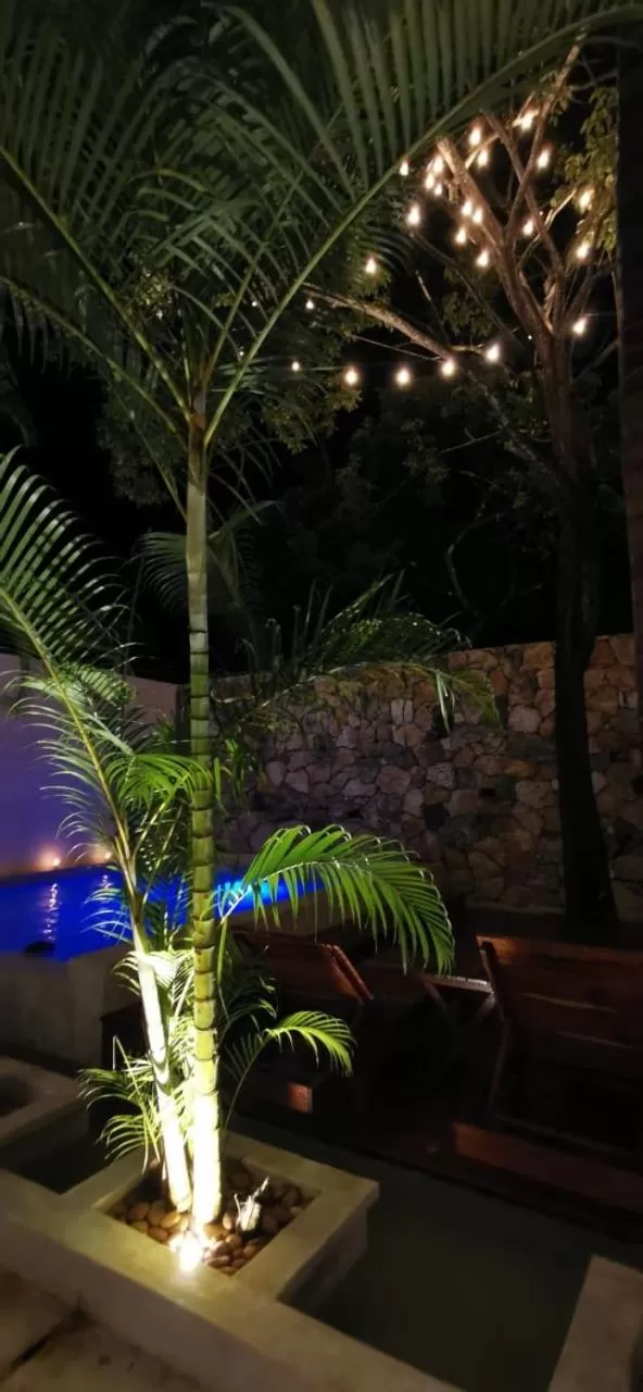 Pool View in Hotel Casa Bamboo