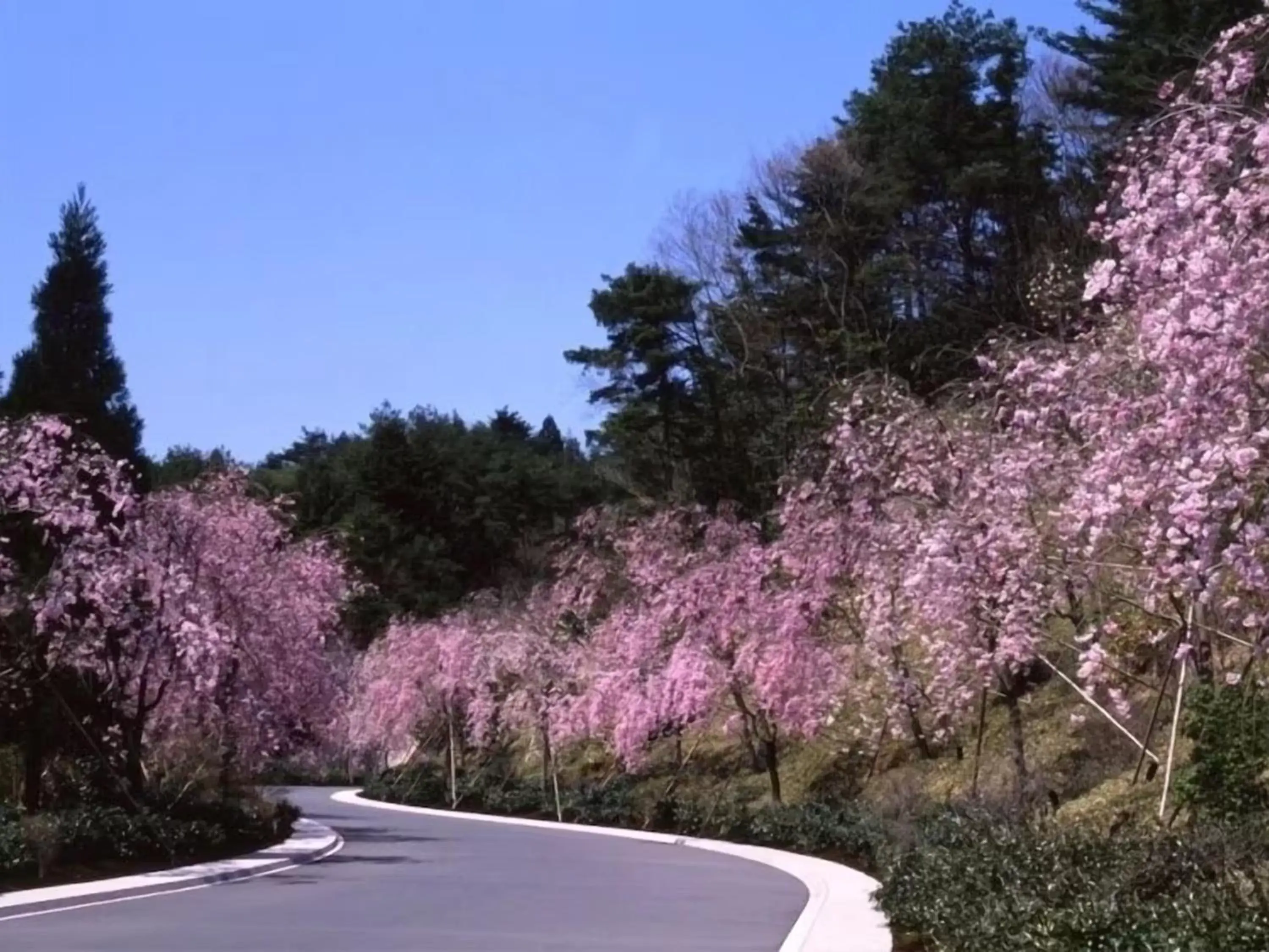 Natural landscape in Lake Biwa Otsu Prince Hotel