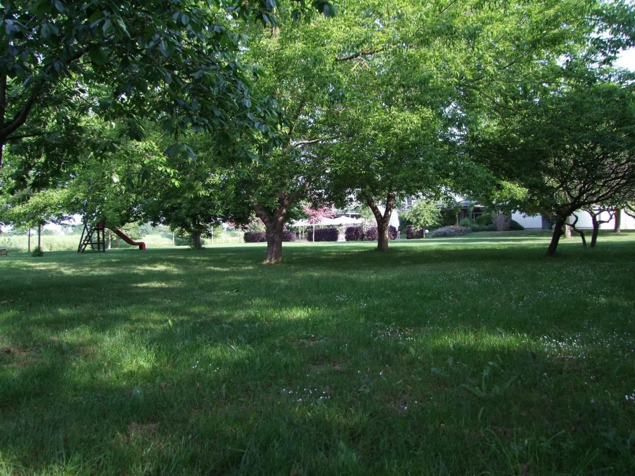 Natural landscape in Hotel Moritz an der Elbe