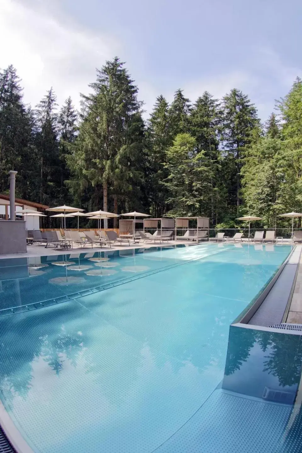 Spa and wellness centre/facilities, Swimming Pool in Aktivhotel Waldhof