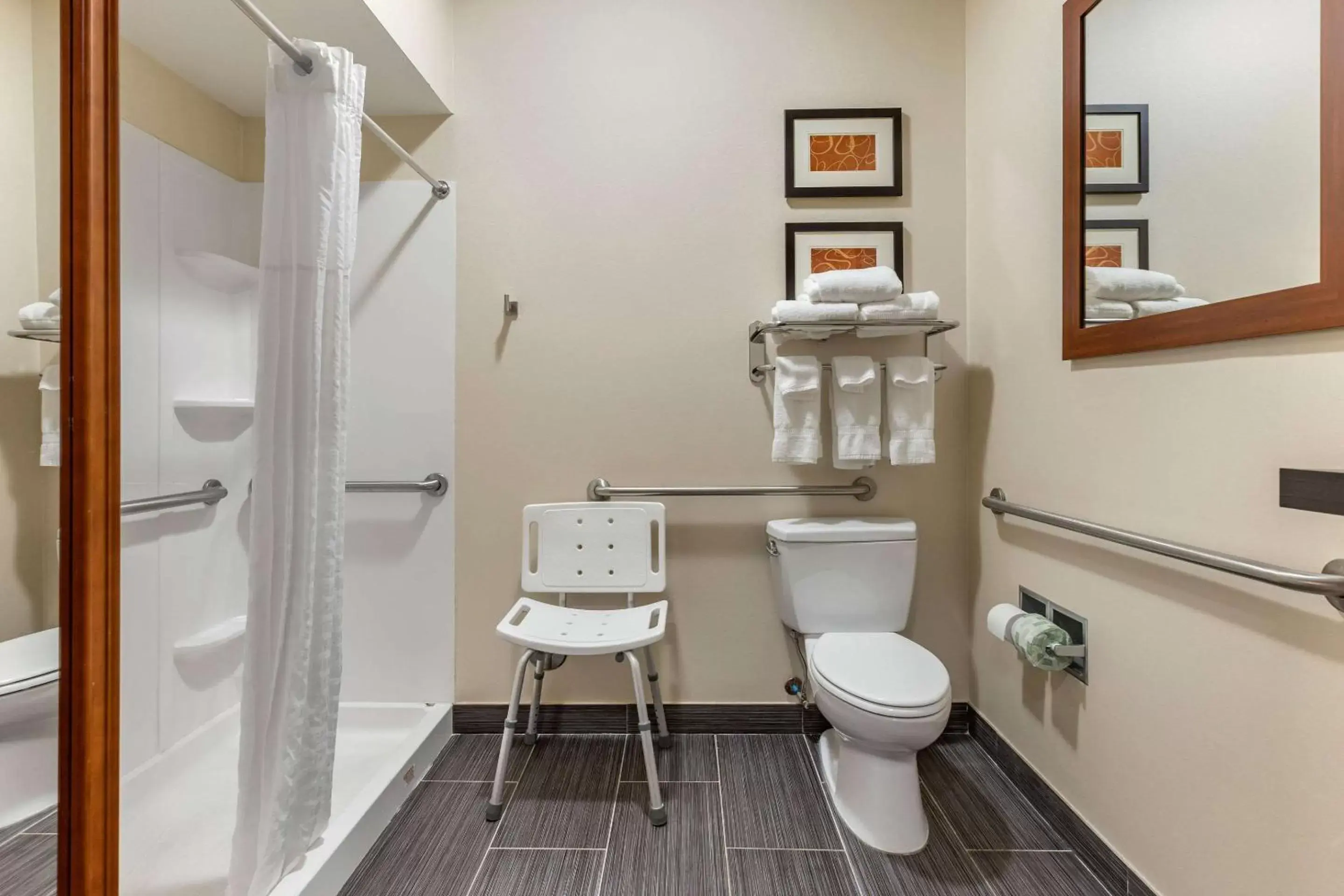 Bathroom in Comfort Suites - Southgate Detroit