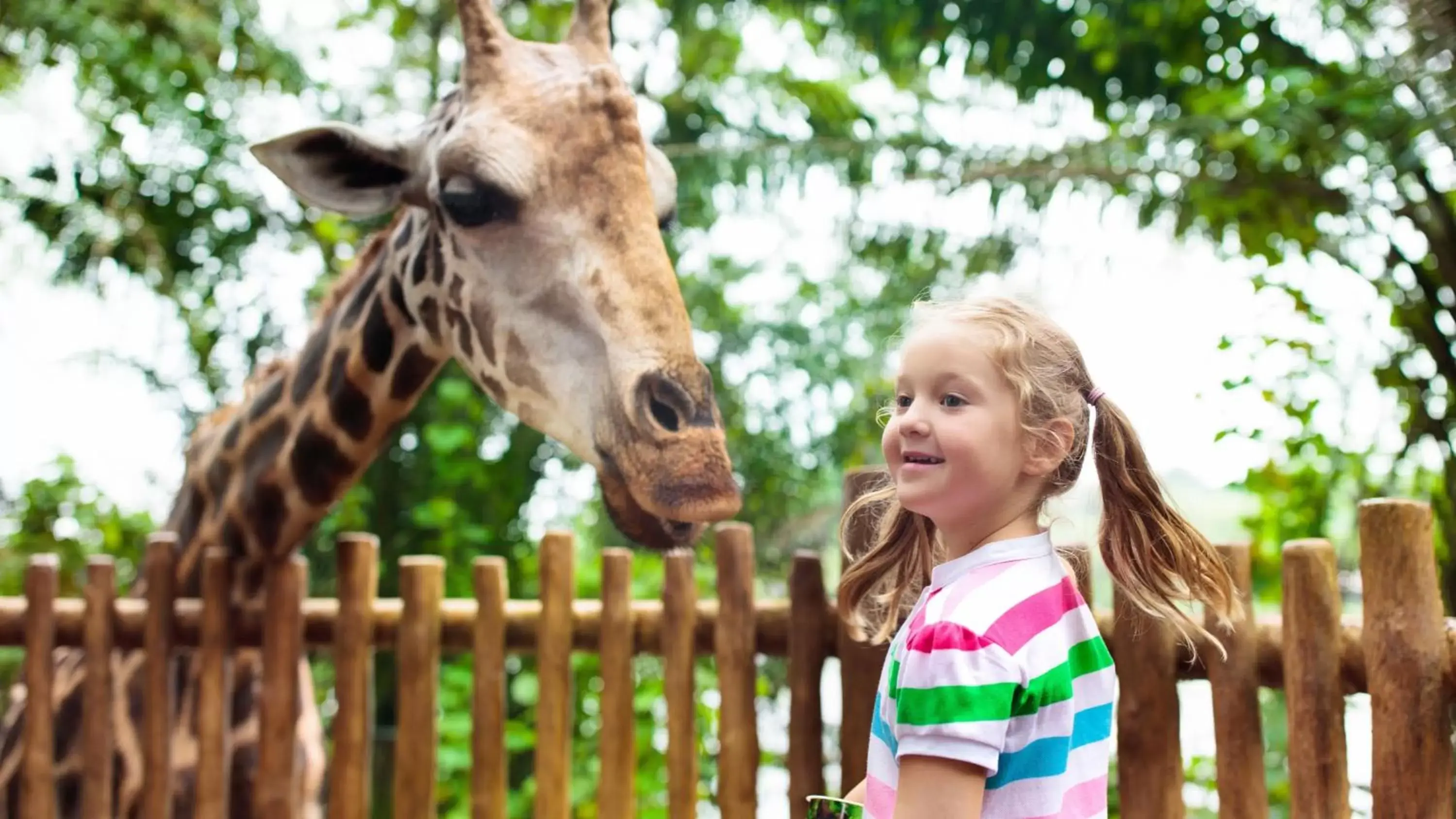 Area and facilities, Children in Holiday Inn Express San Diego SeaWorld, an IHG Hotel