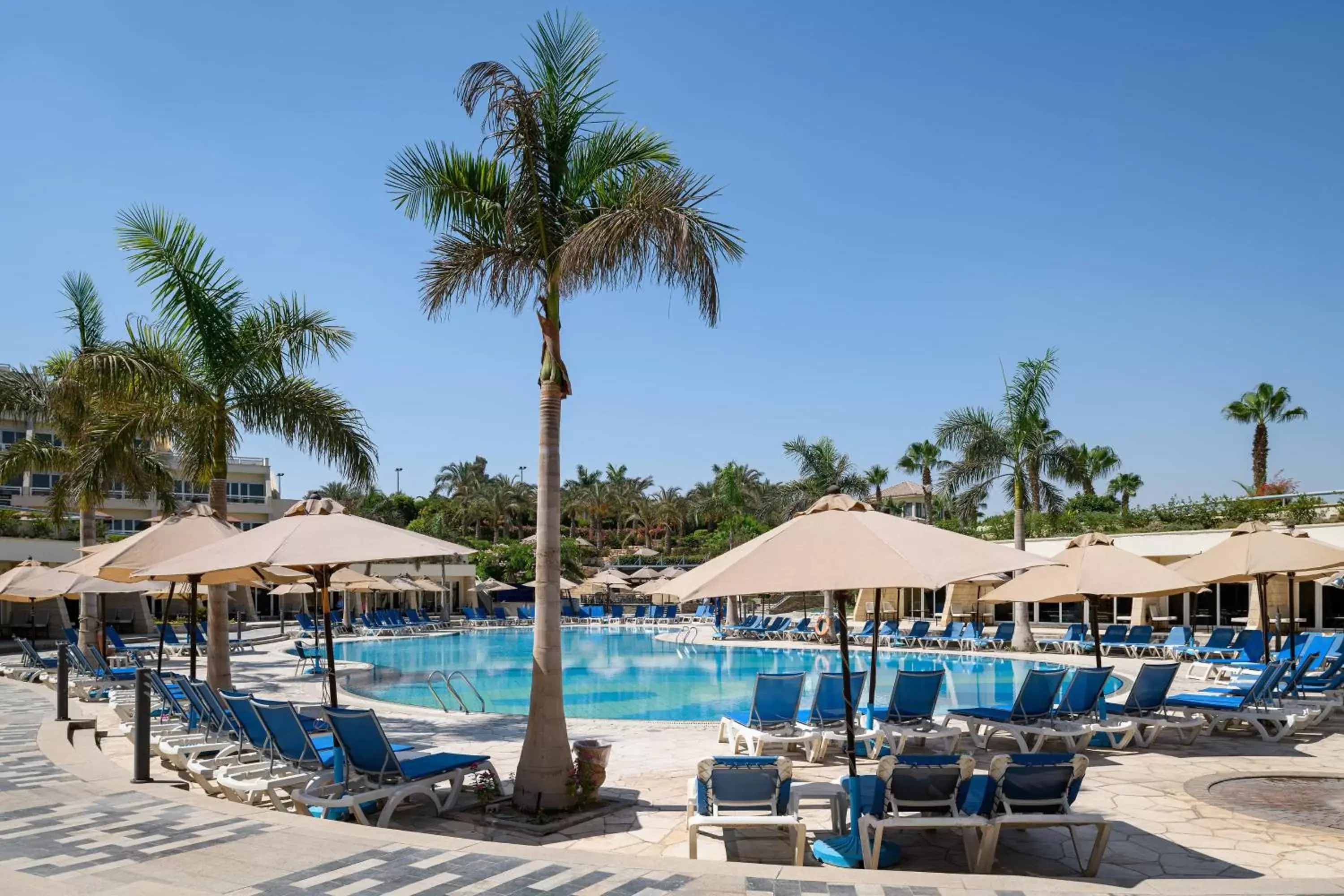 Swimming Pool in JW Marriott Hotel Cairo