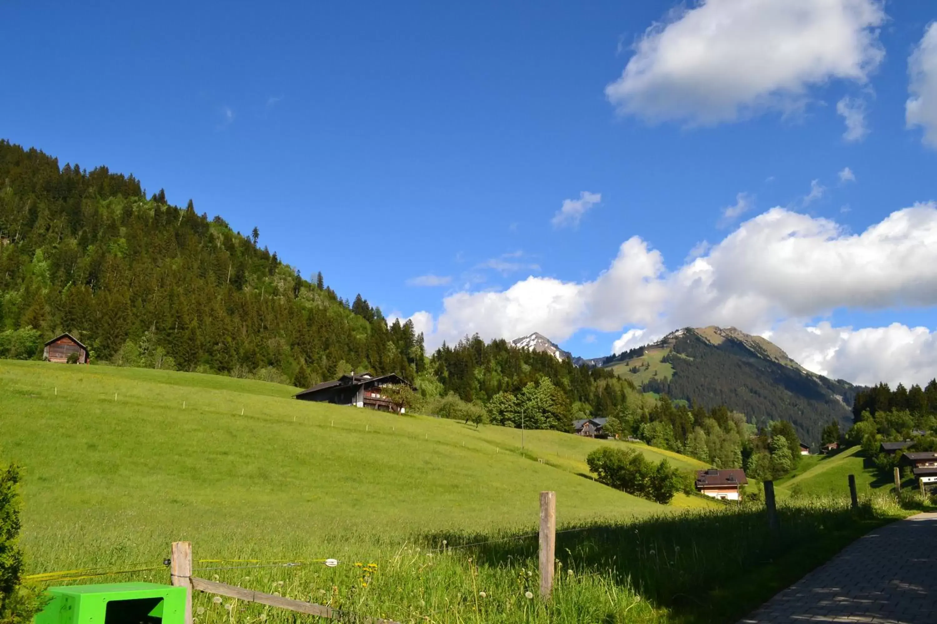 Natural landscape in Geniesserhotel Le Grand Chalet