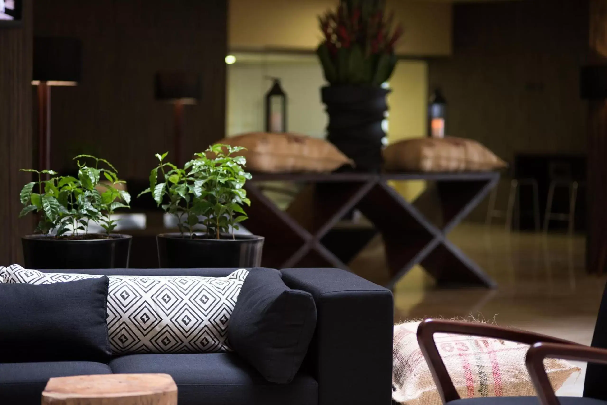 Living room, Seating Area in Movich Hotel de Pereira