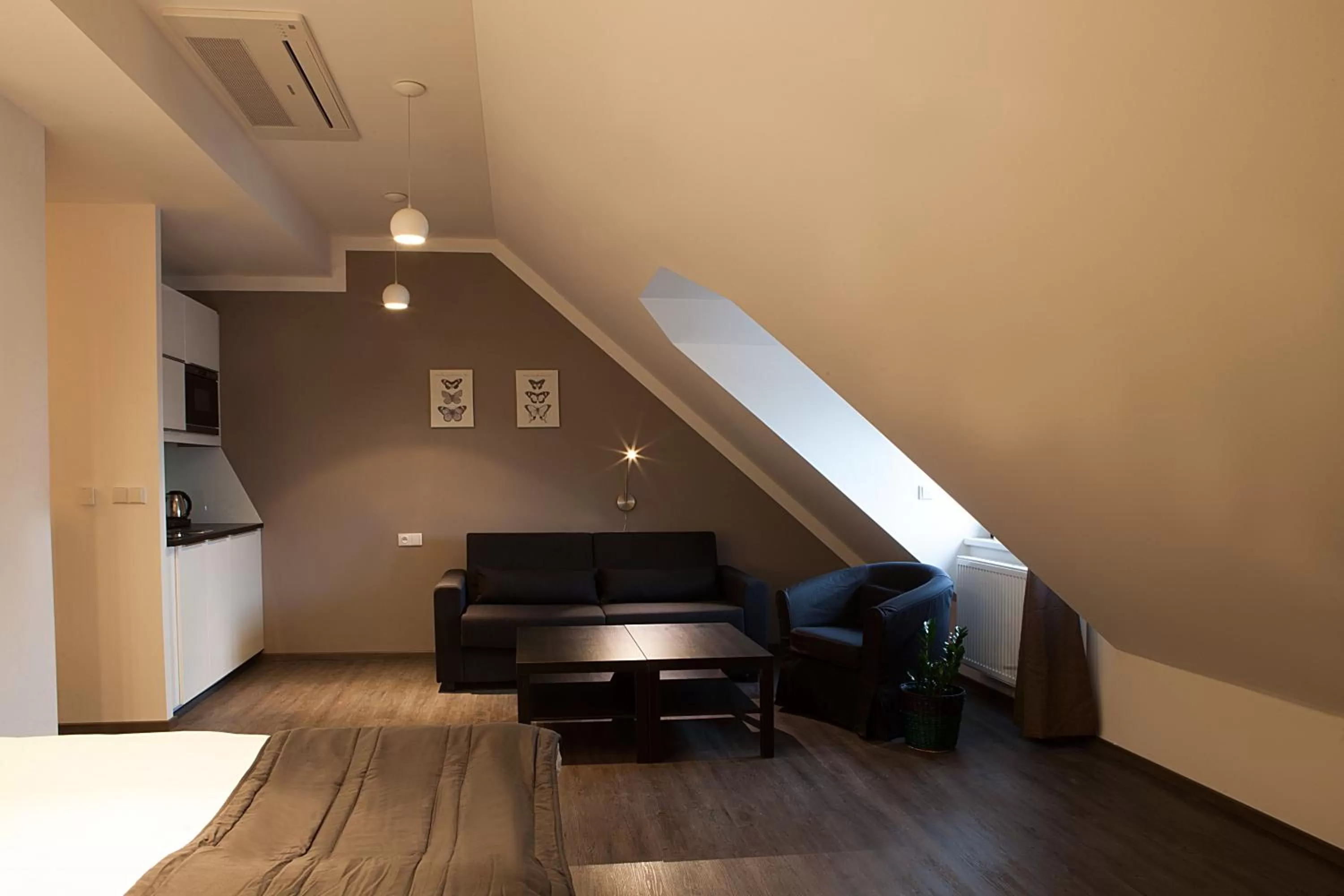 Kitchen or kitchenette in Hotel Koruna