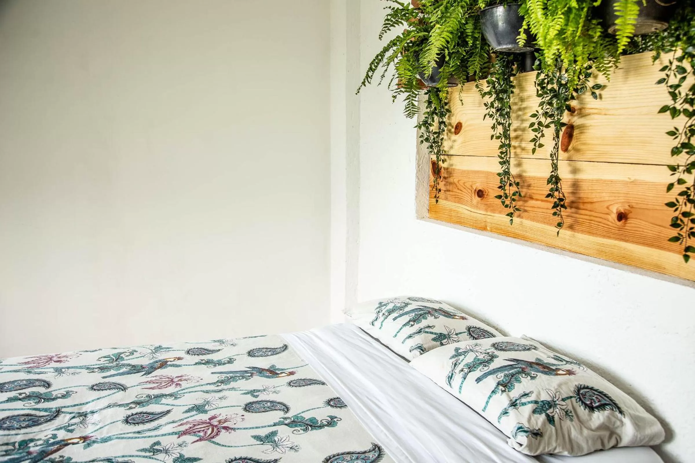 Photo of the whole room, Bed in Colibrí Turquesa