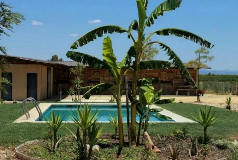 Garden, Swimming Pool in Casa Rural Ecuestre