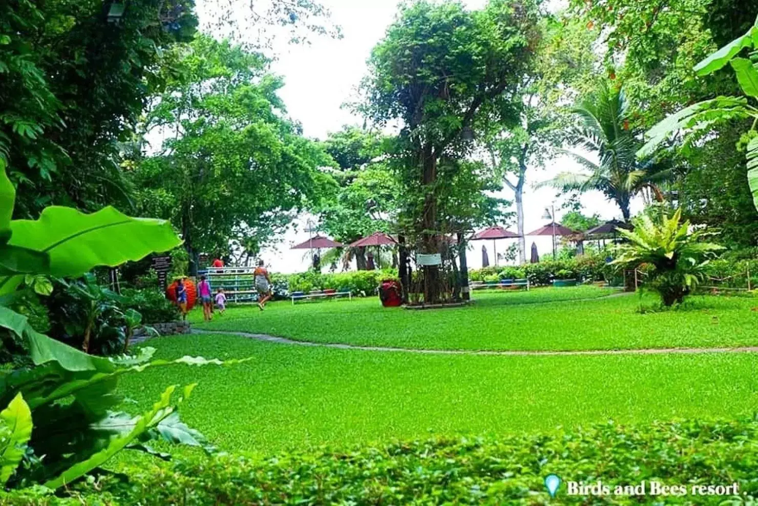 Garden in Birds and Bees Resort