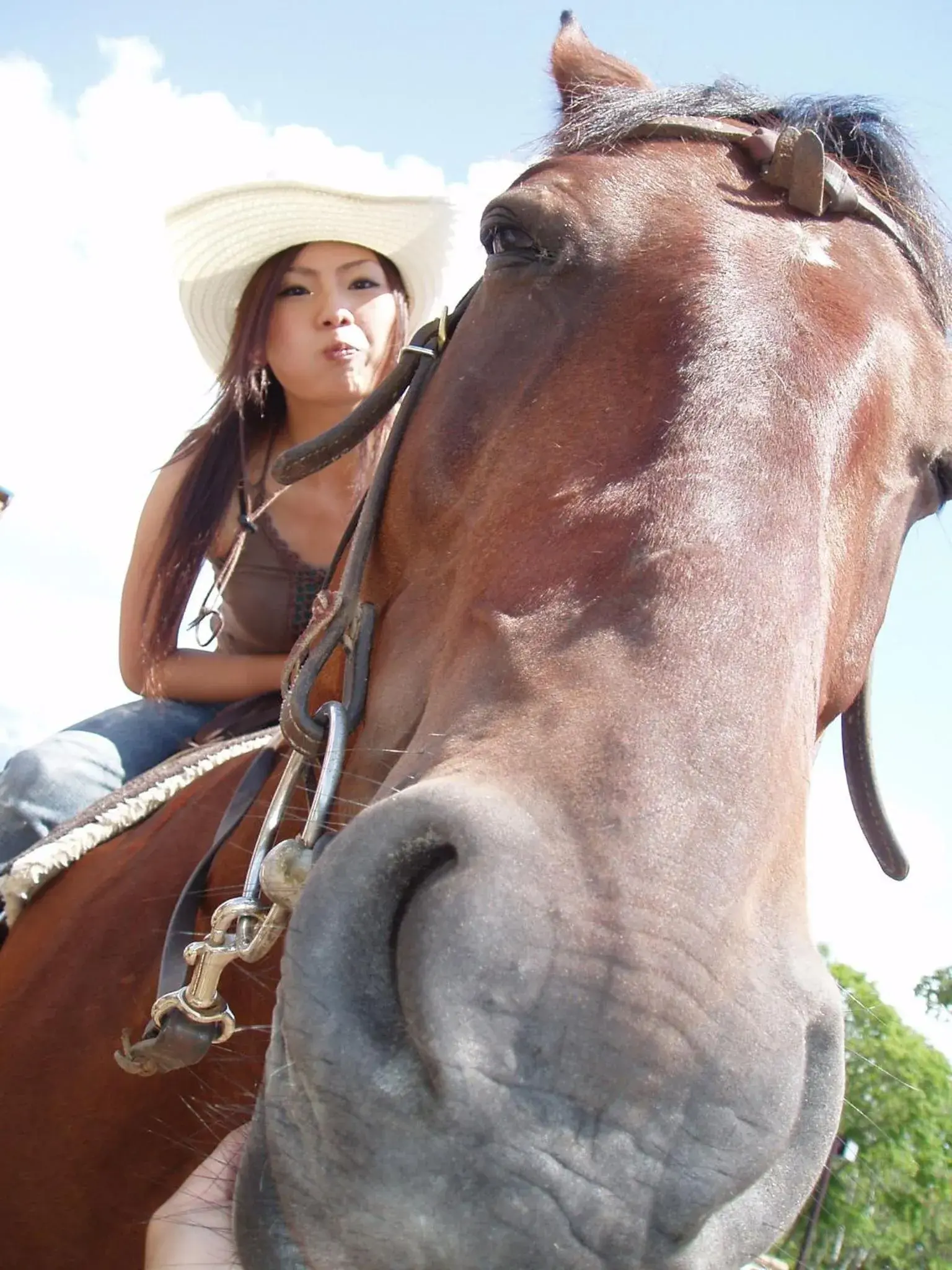 Horse-riding, Horseback Riding in Hotel Kanronomori