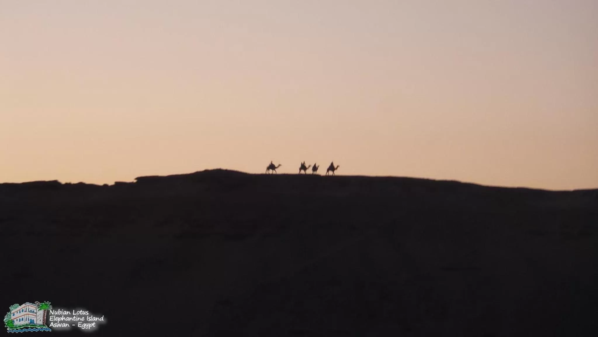 Property building in Nubian Lotus