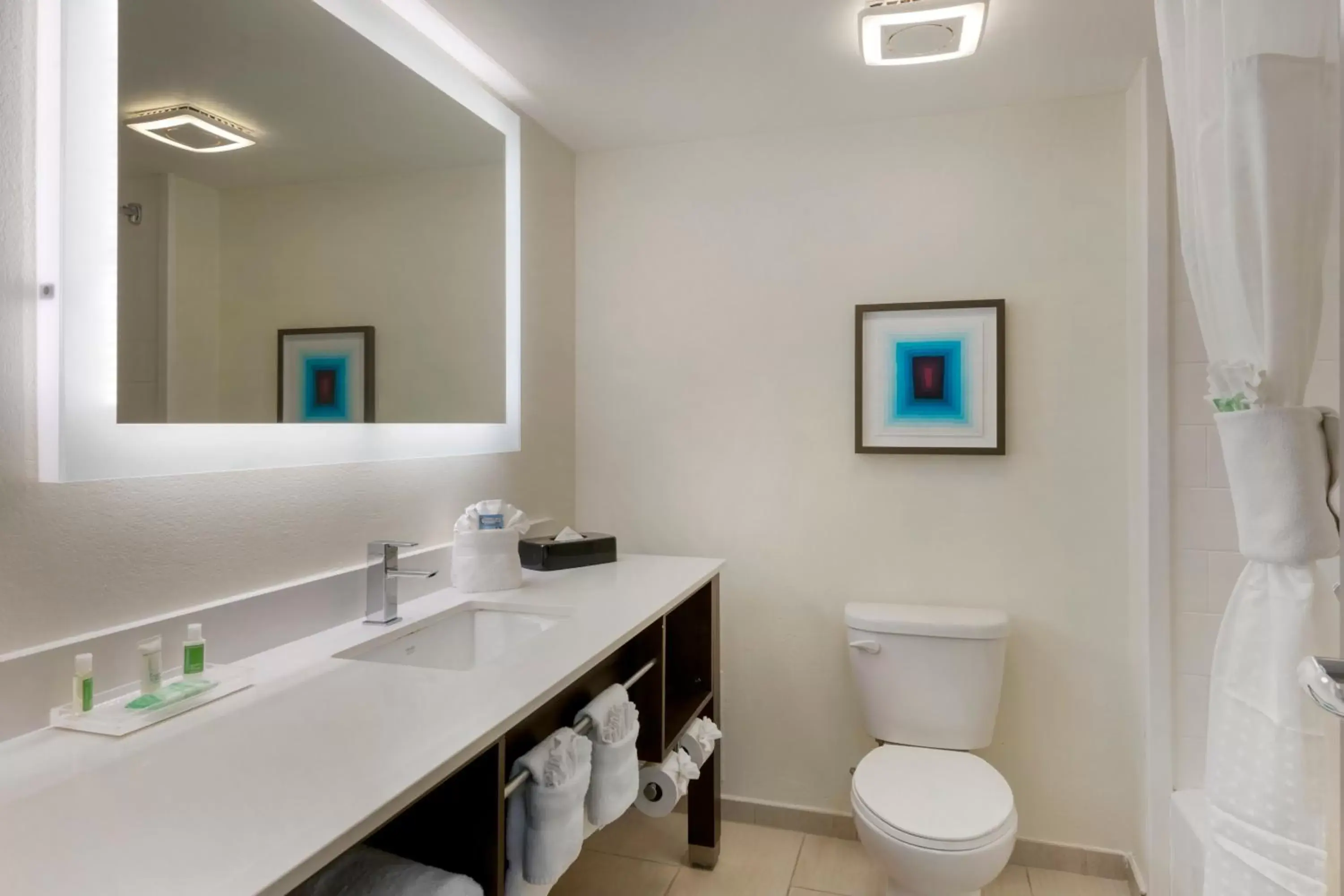 Bathroom in Holiday Inn Palm Beach-Airport Conf Ctr, an IHG Hotel