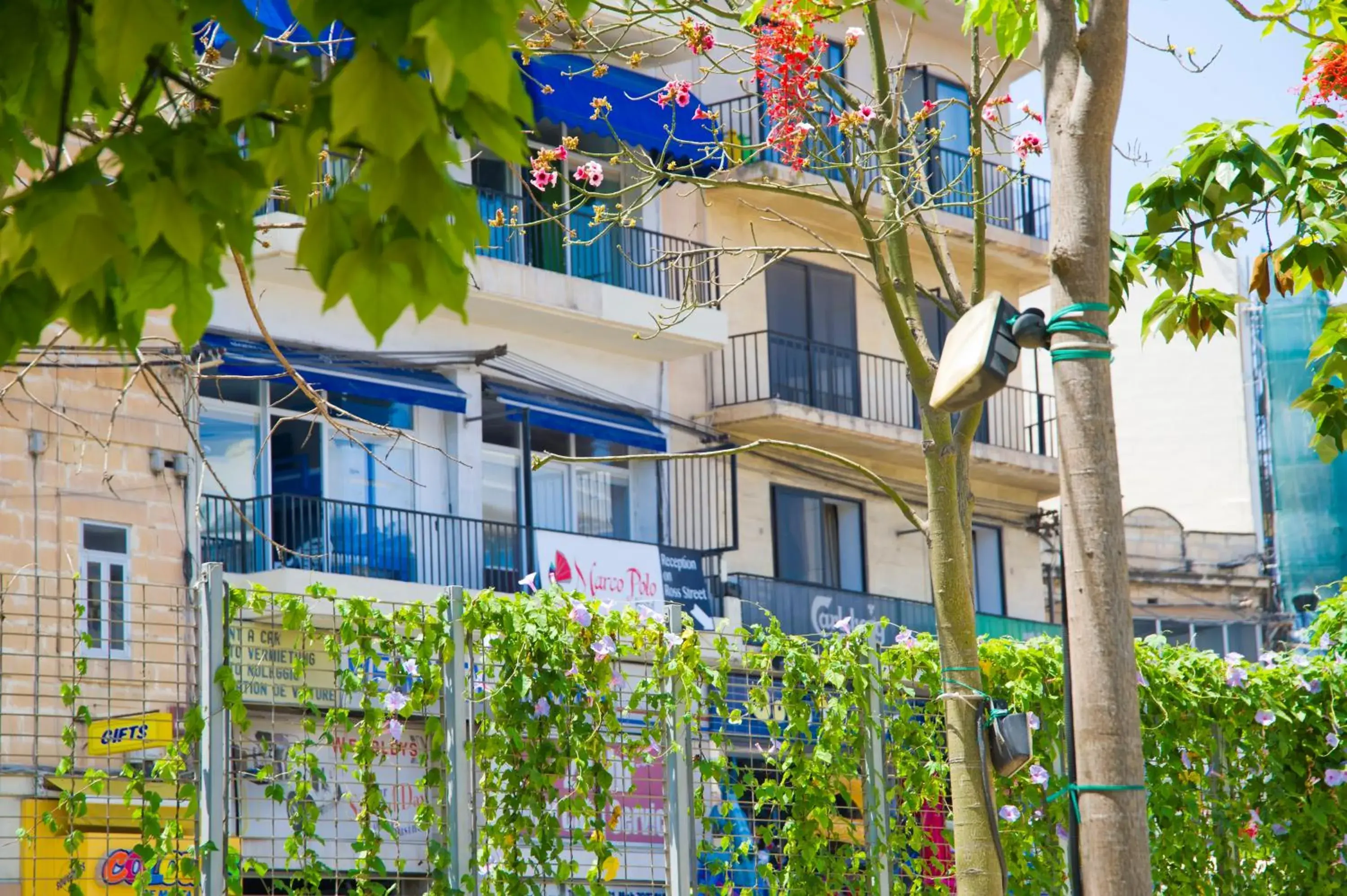 Property building, Facade/Entrance in Marco Polo Party Hostel