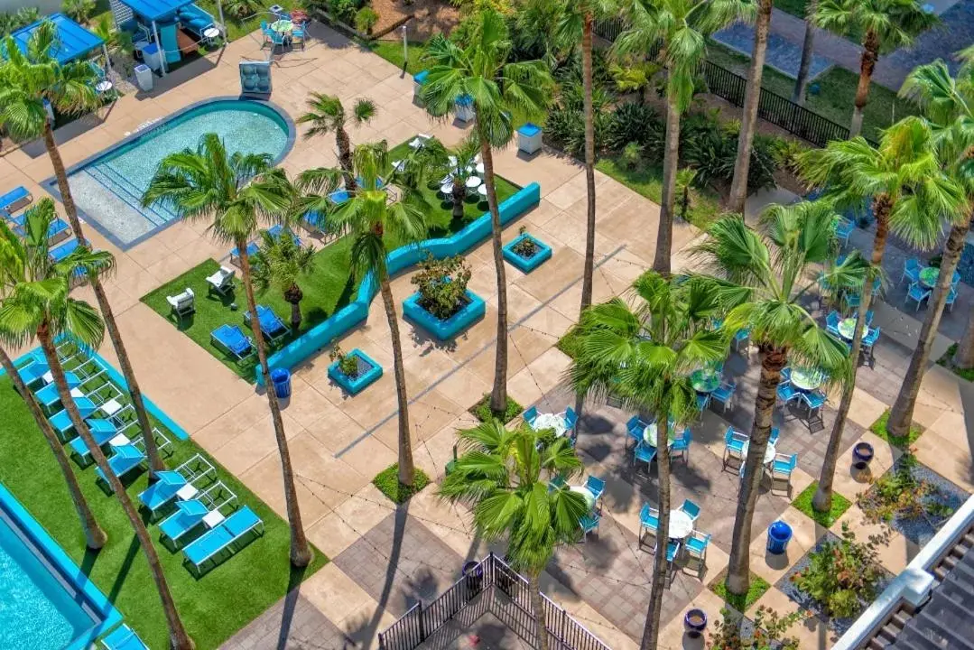 Swimming pool in Margaritaville Beach Resort South Padre Island