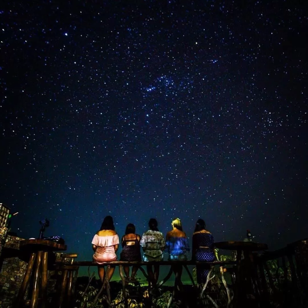 Sanctuaria Treehouses Busuanga
