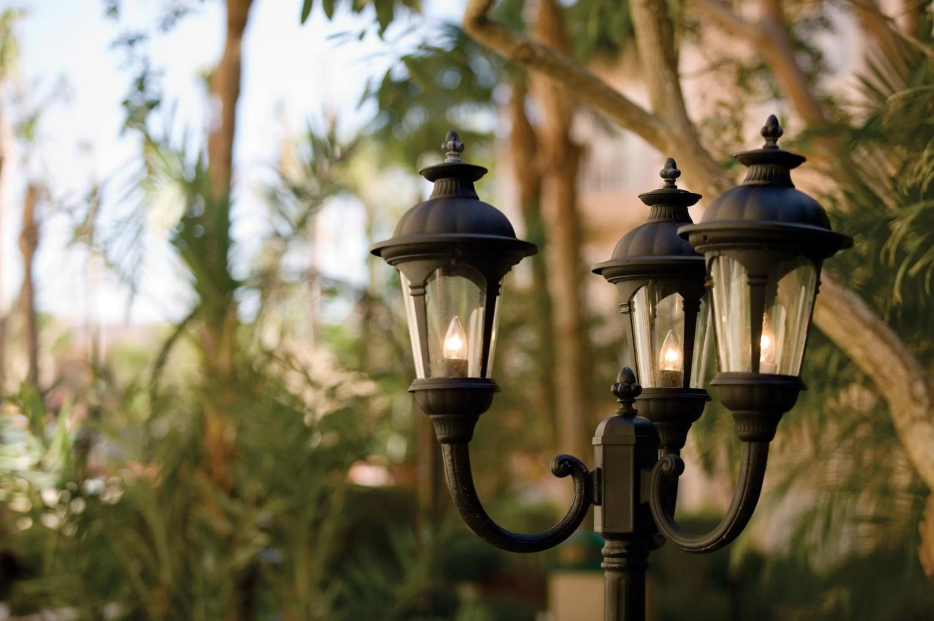 Other in Club Wyndham Sea Gardens