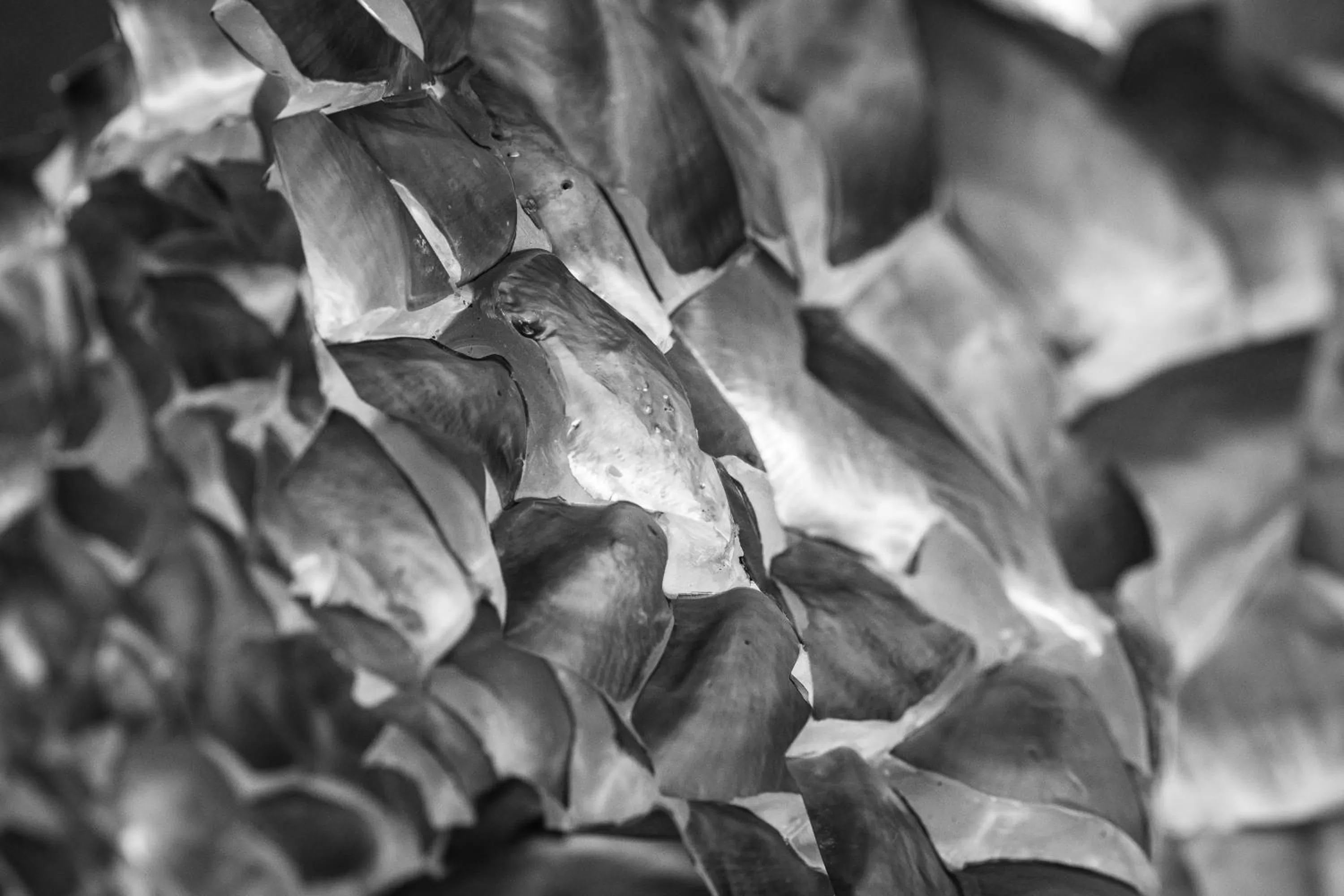 Lobby or reception in Novotel Orléans Saint Jean de Braye