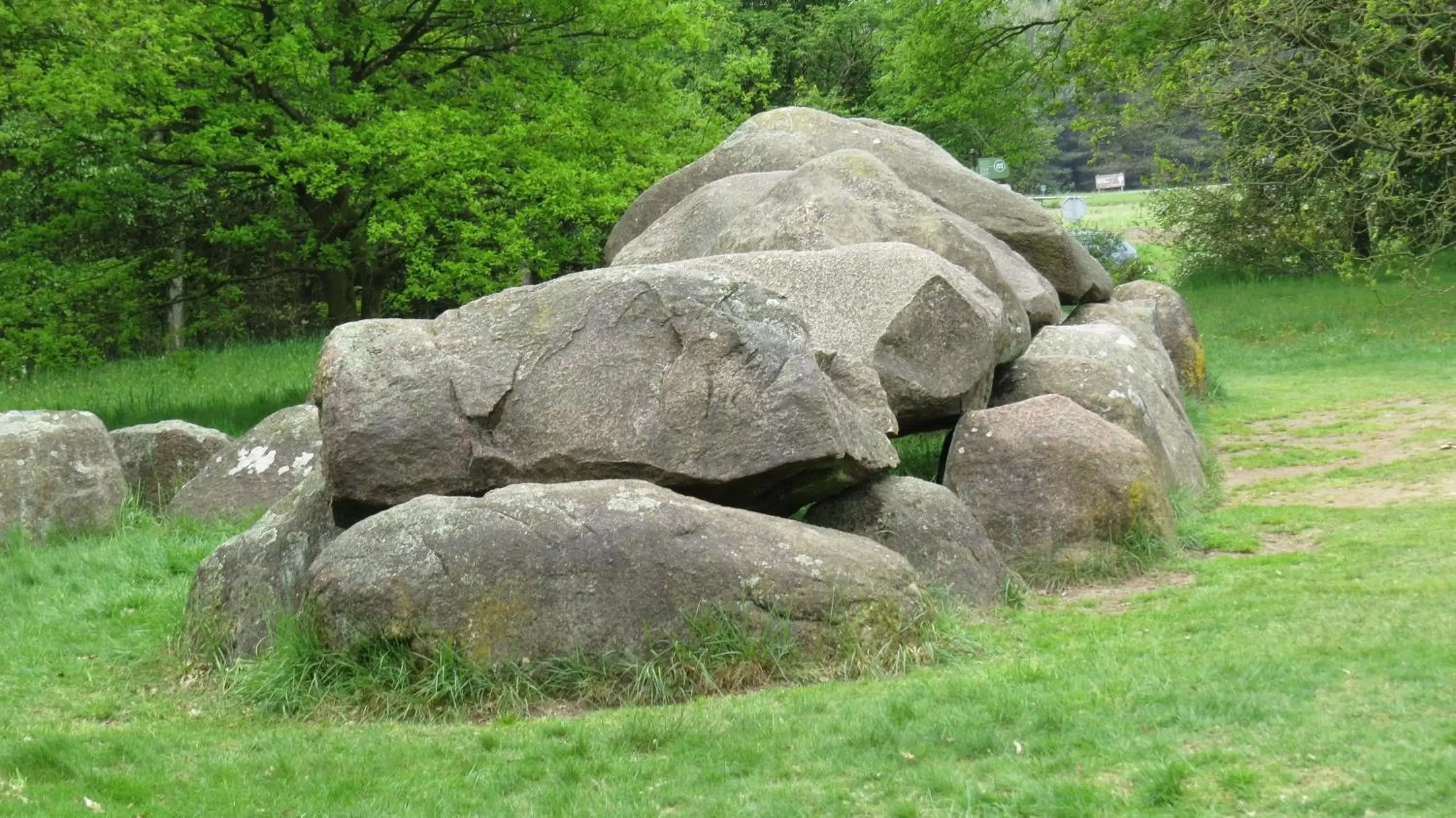 Natural Landscape in 't Zwanemeer