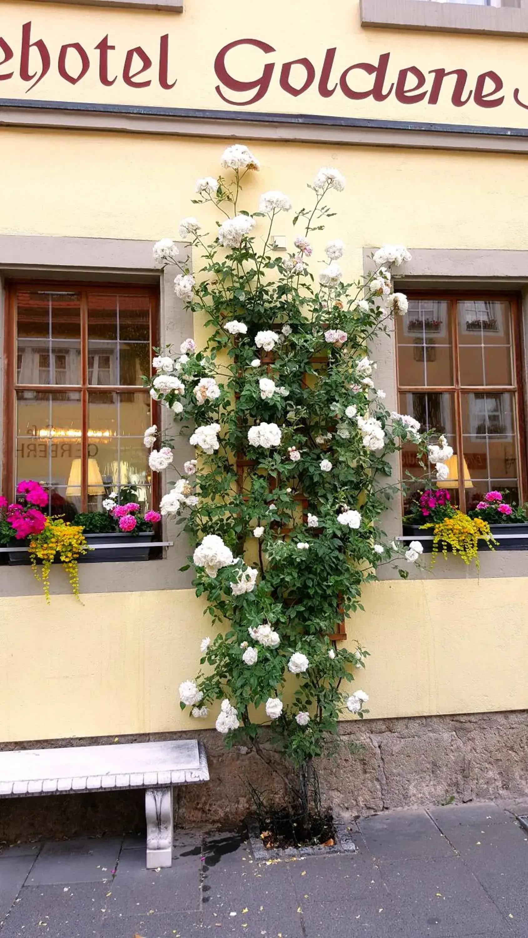 Facade/entrance in Boutiquehotel Goldene Rose