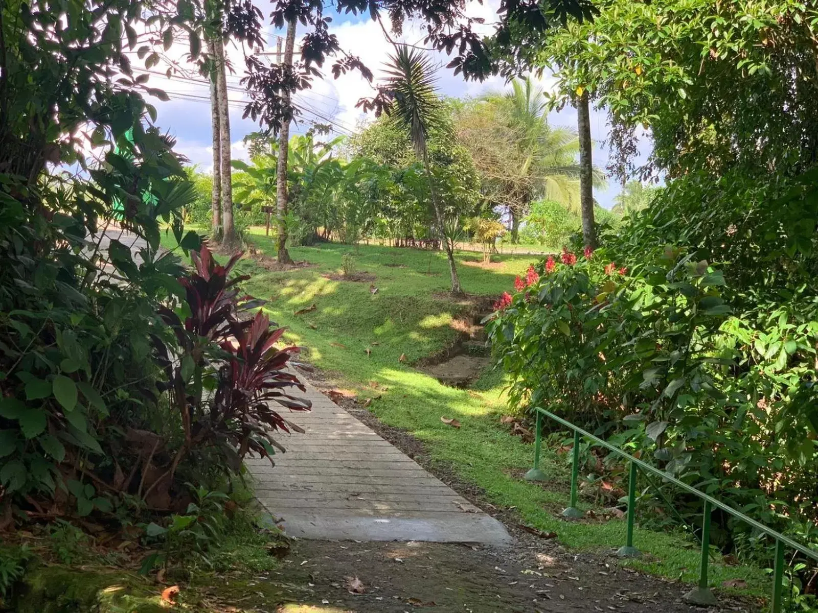 Natural landscape, Garden in Confort Arenal