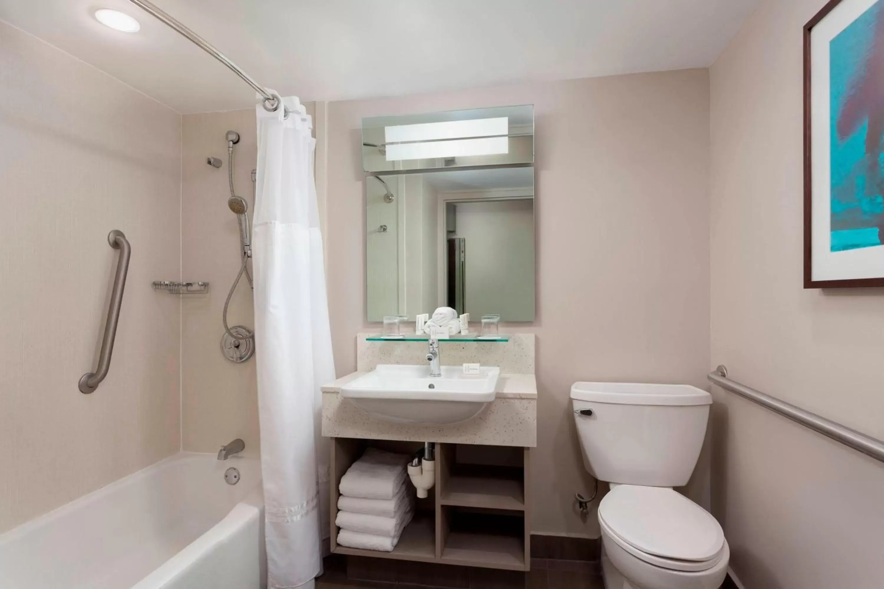 Bathroom in Courtyard by Marriott Isla Verde Beach Resort