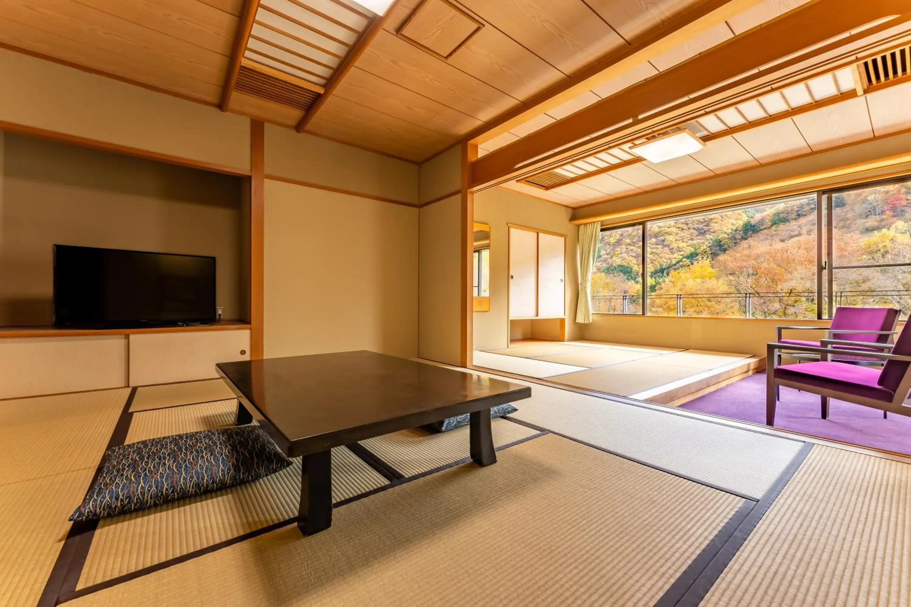 Photo of the whole room, Table Tennis in Kamenoi Hotel Nikko Yunishigawa