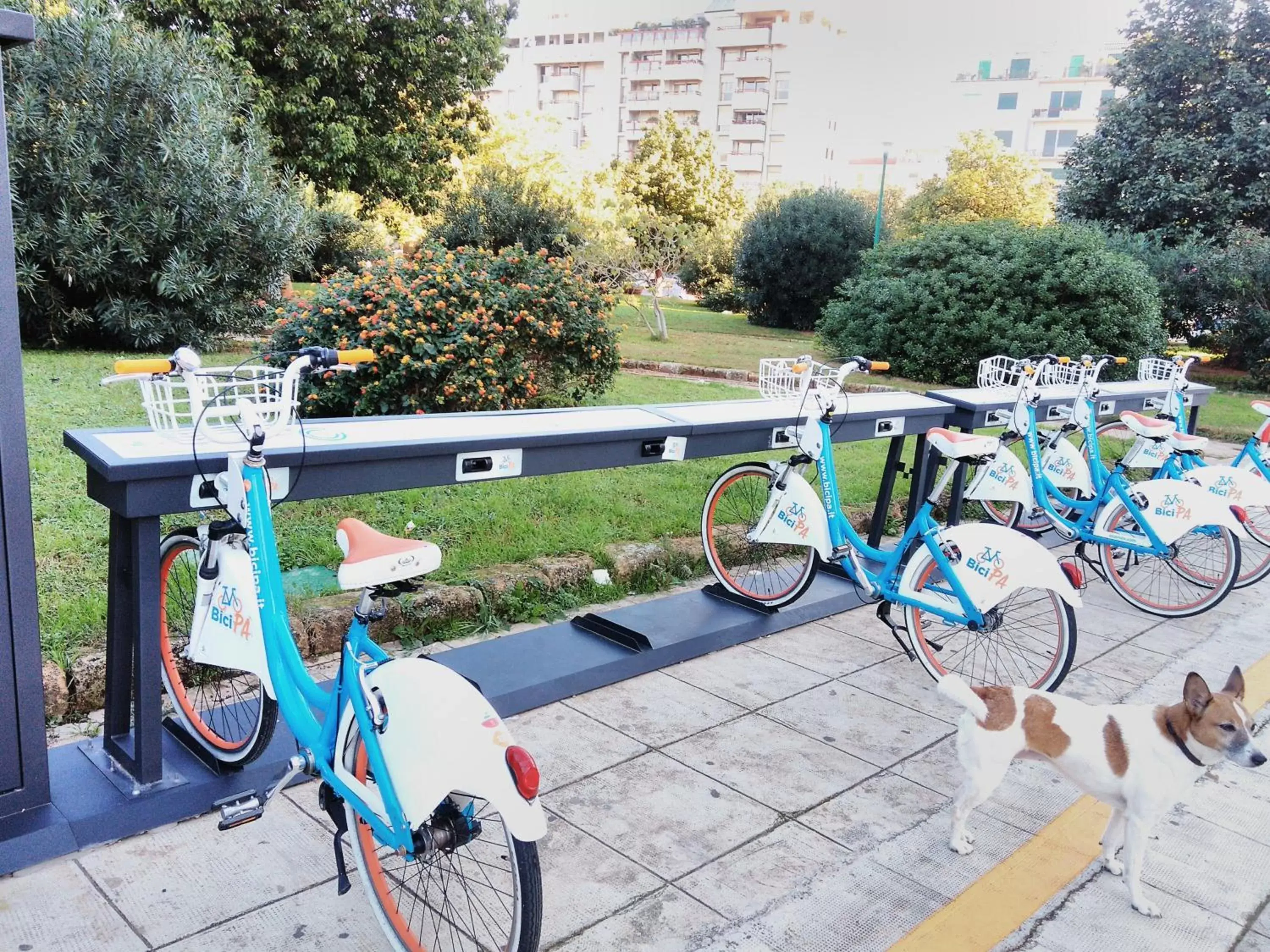 Nearby landmark, Pool View in 120 Rodionoff Palermo Centro - Ben collegato con l'aeroporto, la spiaggia di Mondello