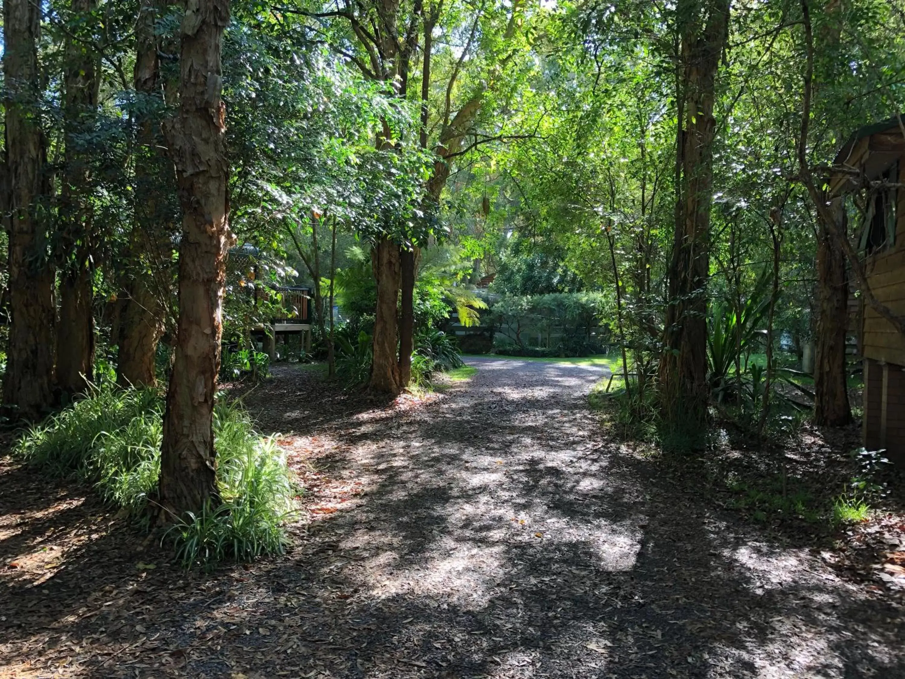 Garden in Wanderers Retreat