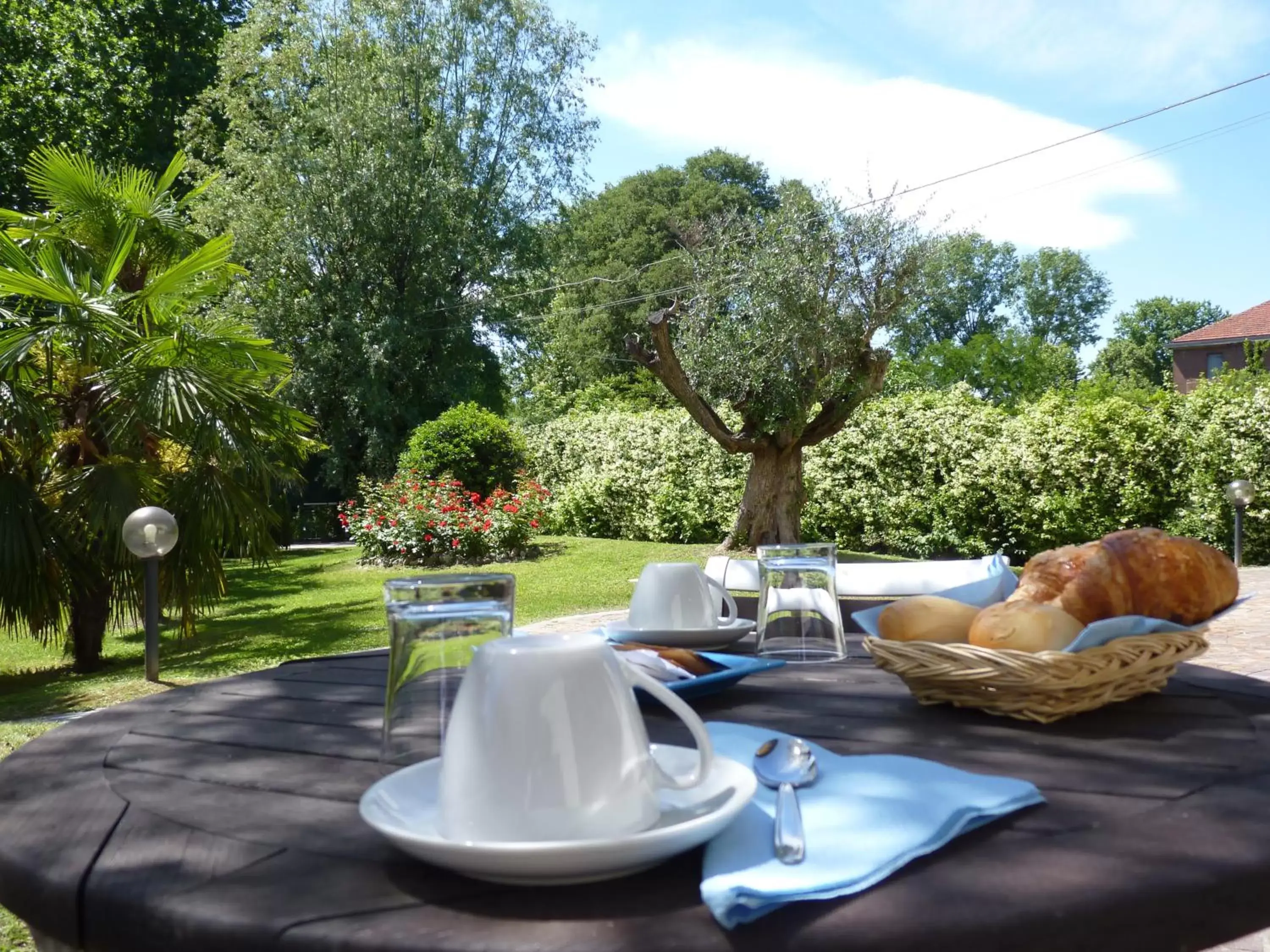 Garden in Parco Hotel Sassi