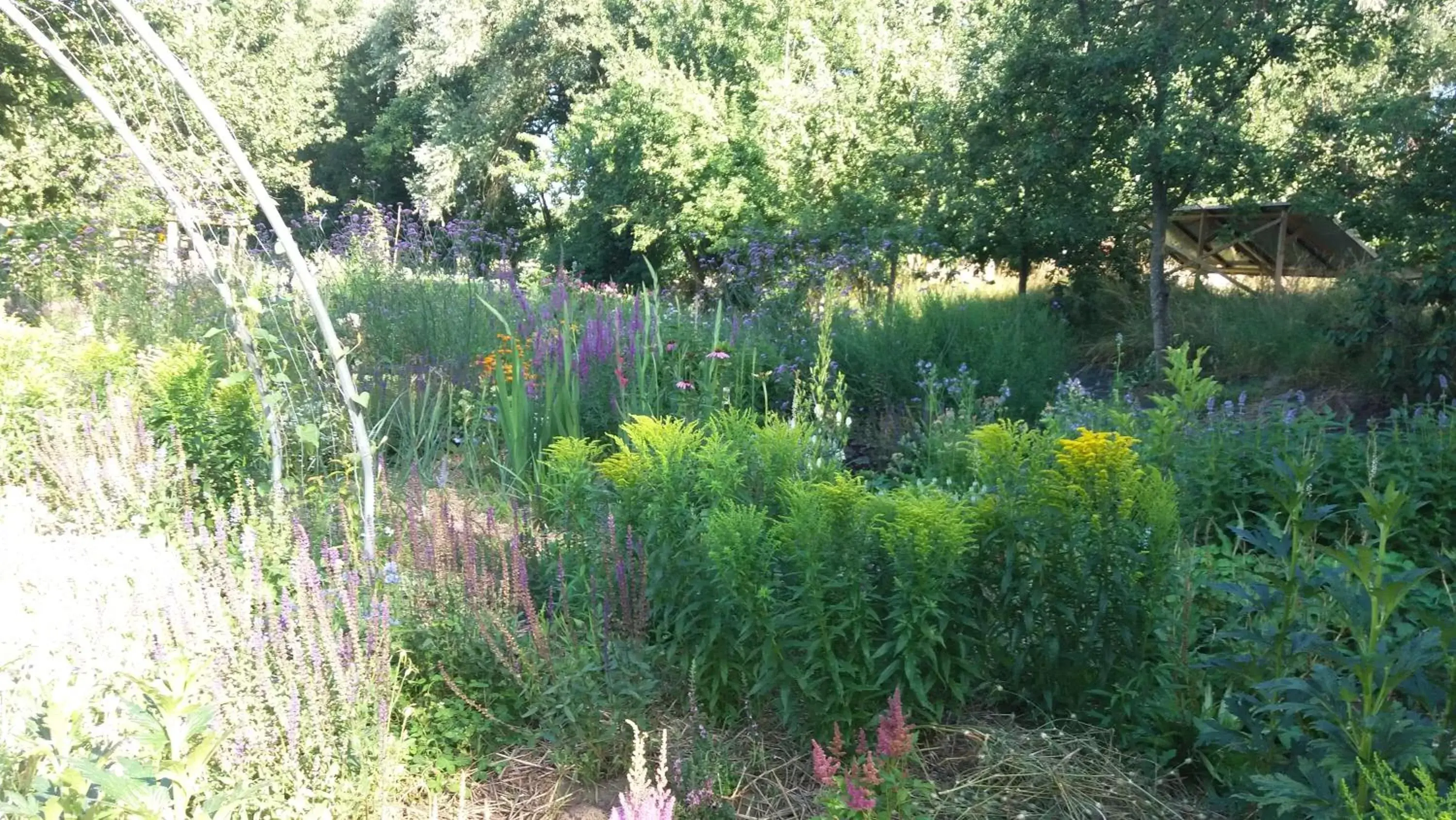 Garden in De Geheime Tuin - Huisje in 't Groen