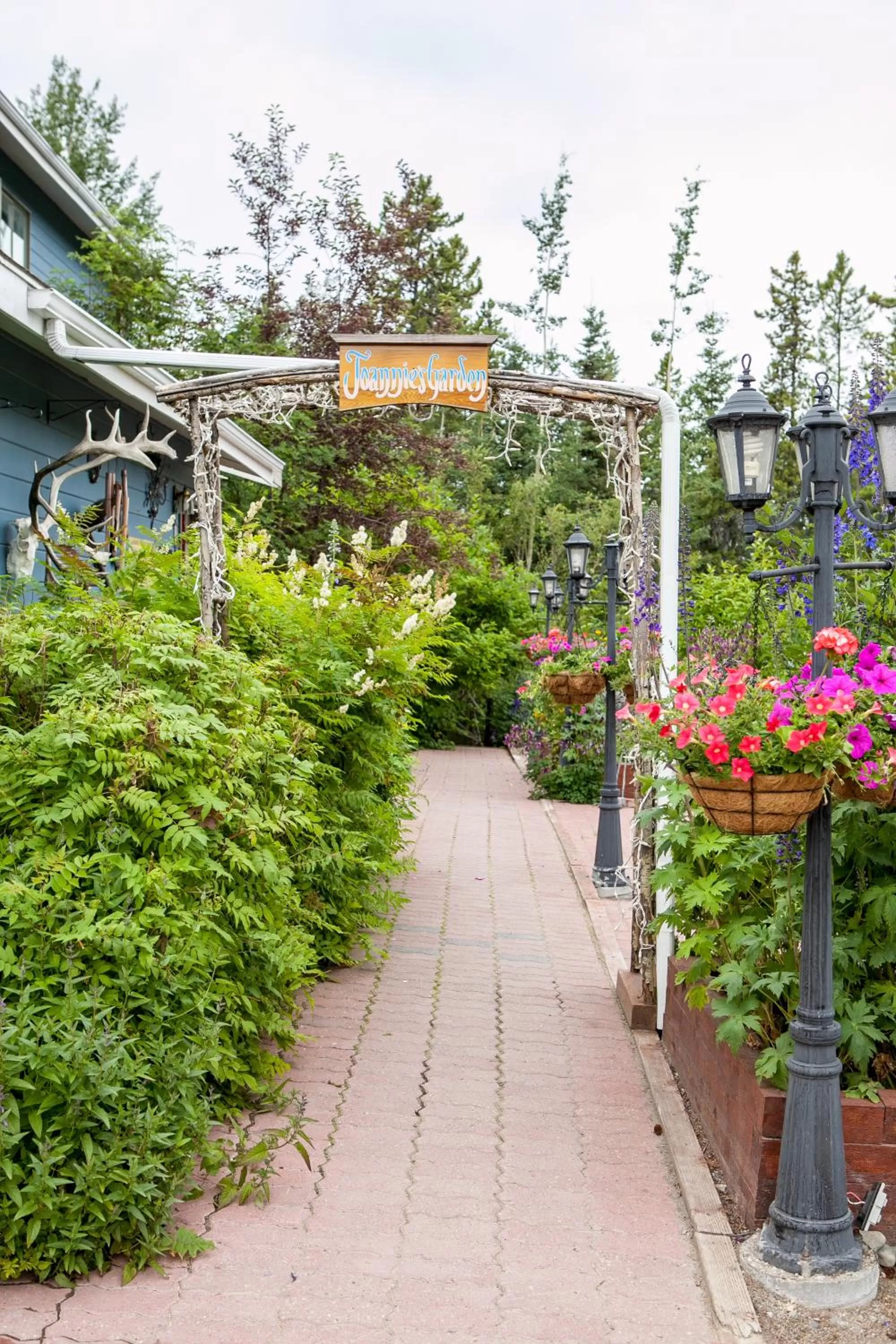 Garden in Hidden Valley Bed and Breakfast