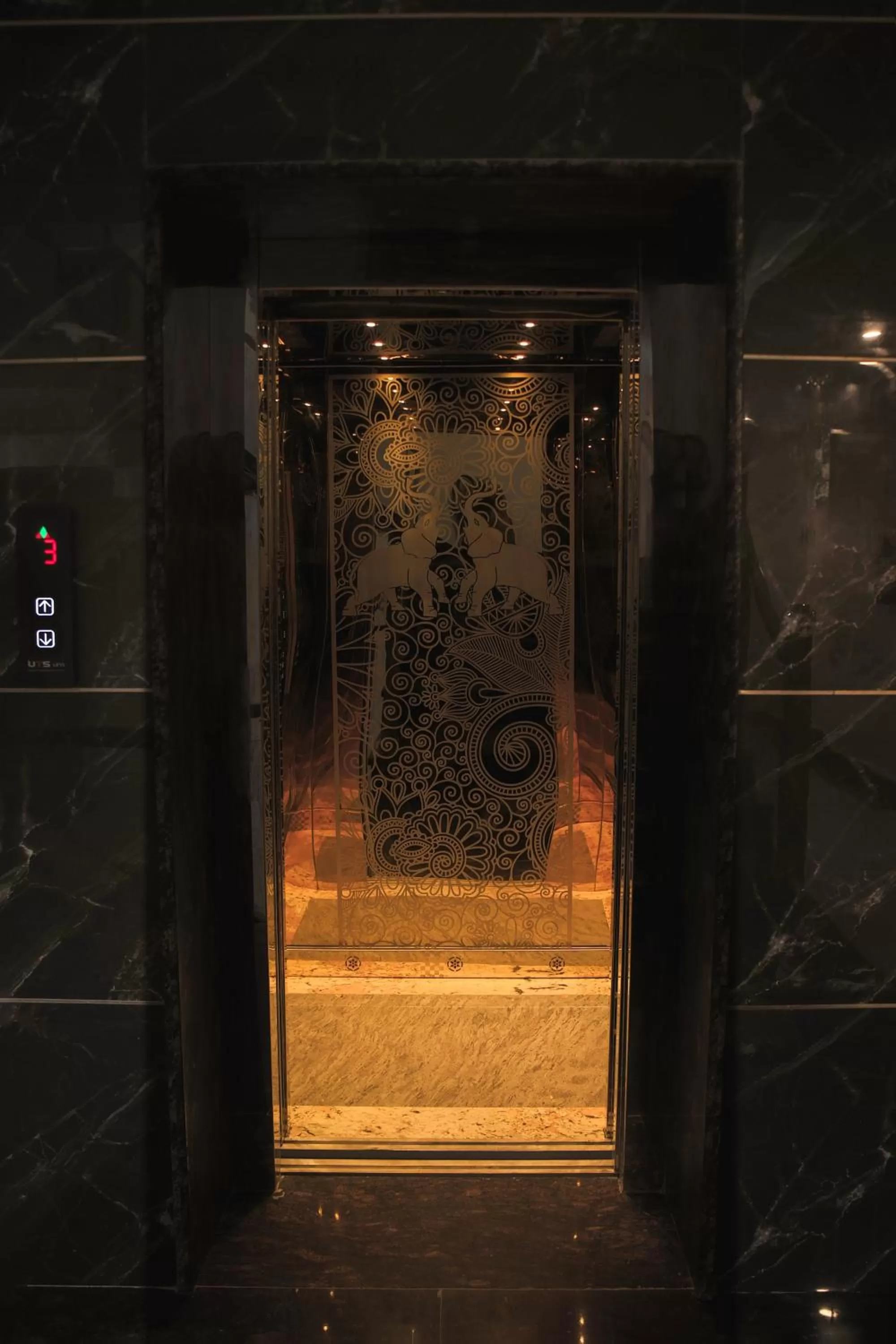 elevator in Arogyadham Wellness Retreat